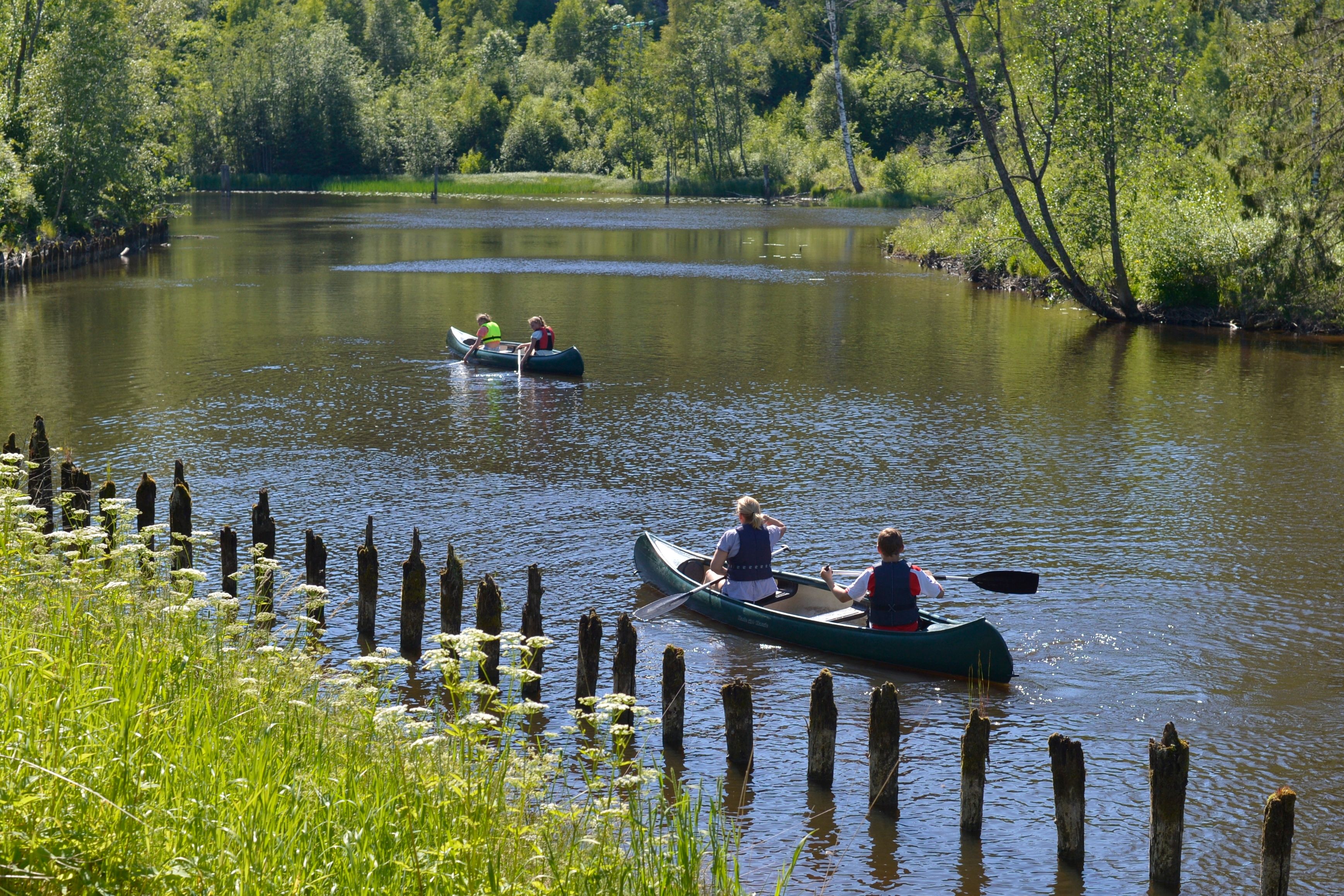 Personer padler sørover langs Haldenkanalen