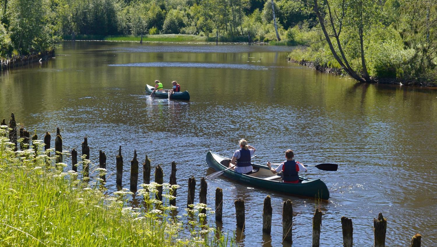 Personer padler sørover langs Haldenkanalen