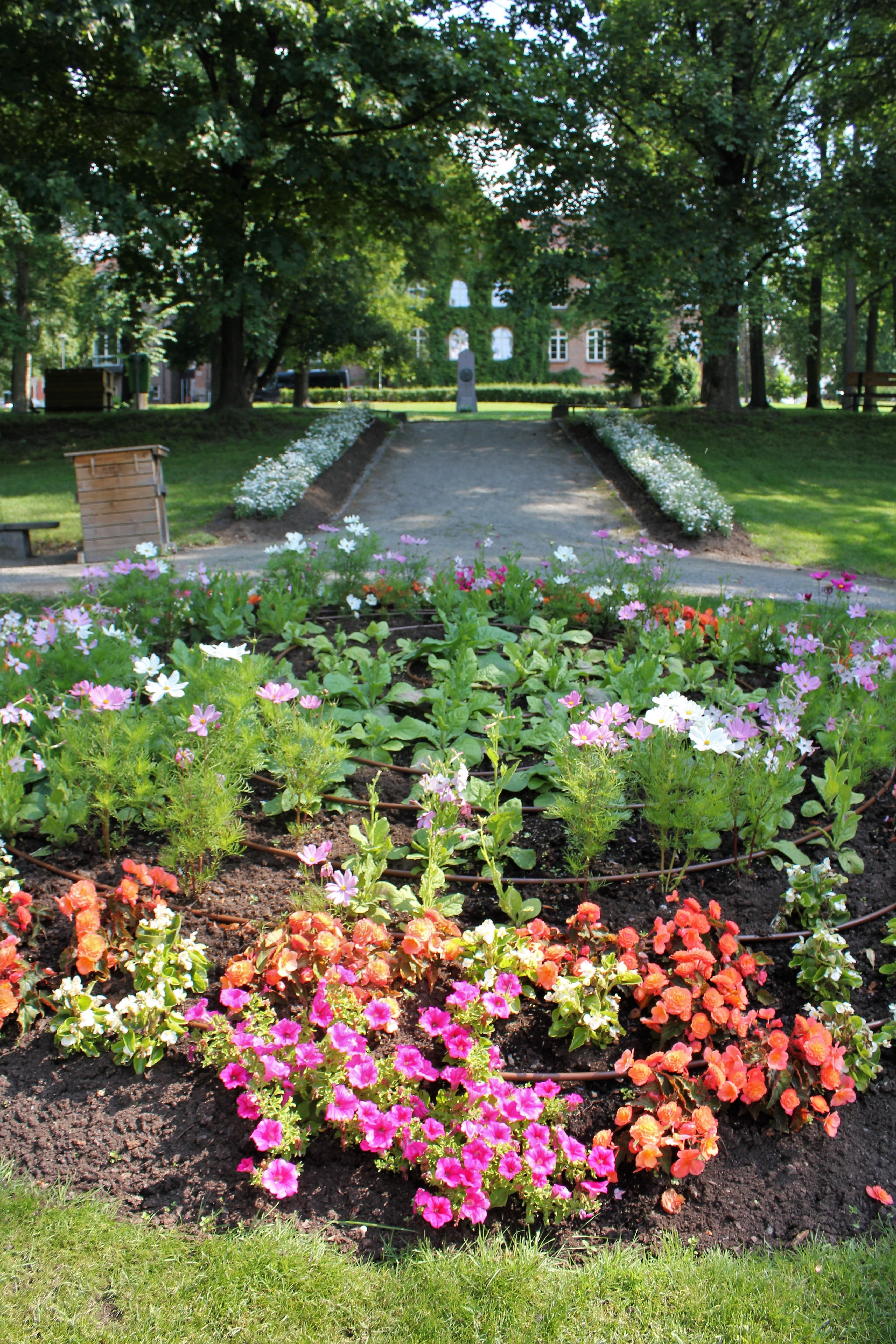 Fargerikt blomsterbed i forgrunnen med gangsti mellom trær og en bygning i bakgrunnen i en park..