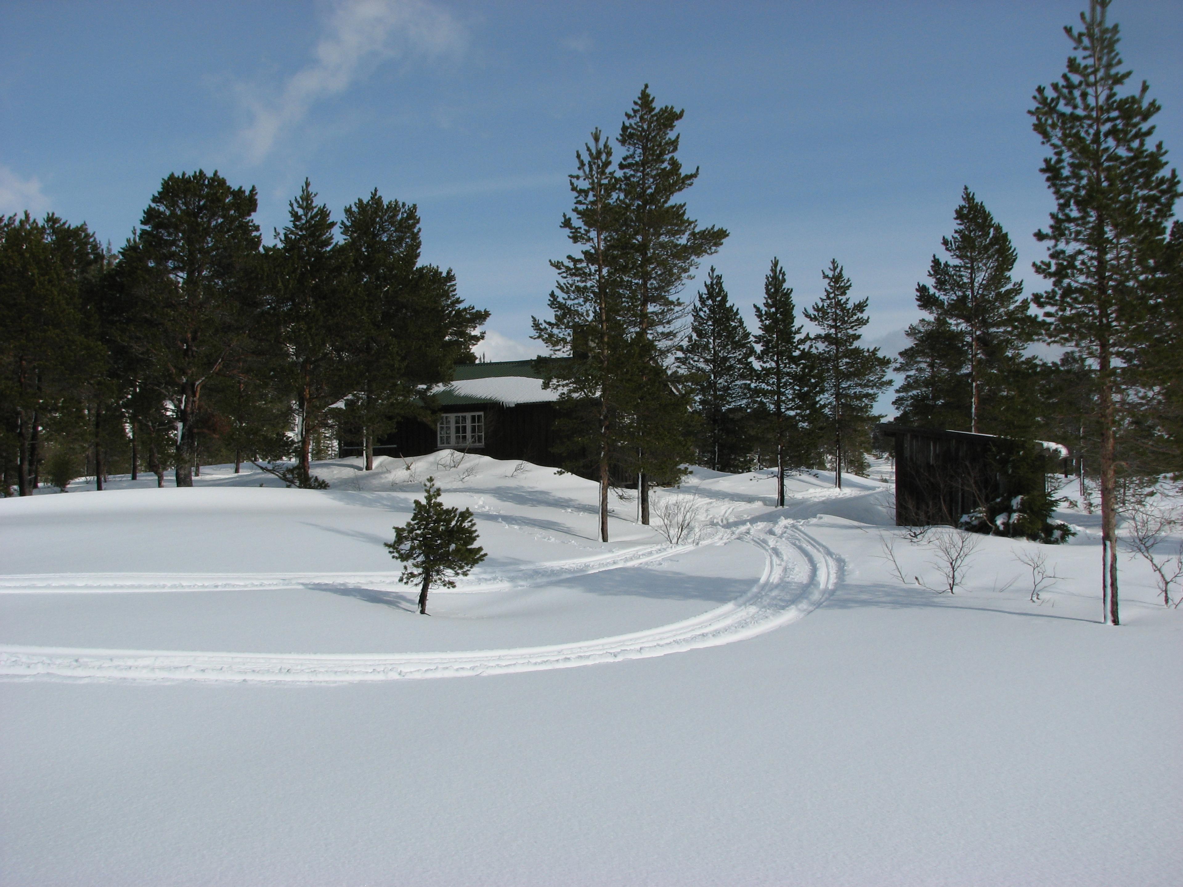 Kvernsjøhytta til Snåsa Fjellstyre, vinter
