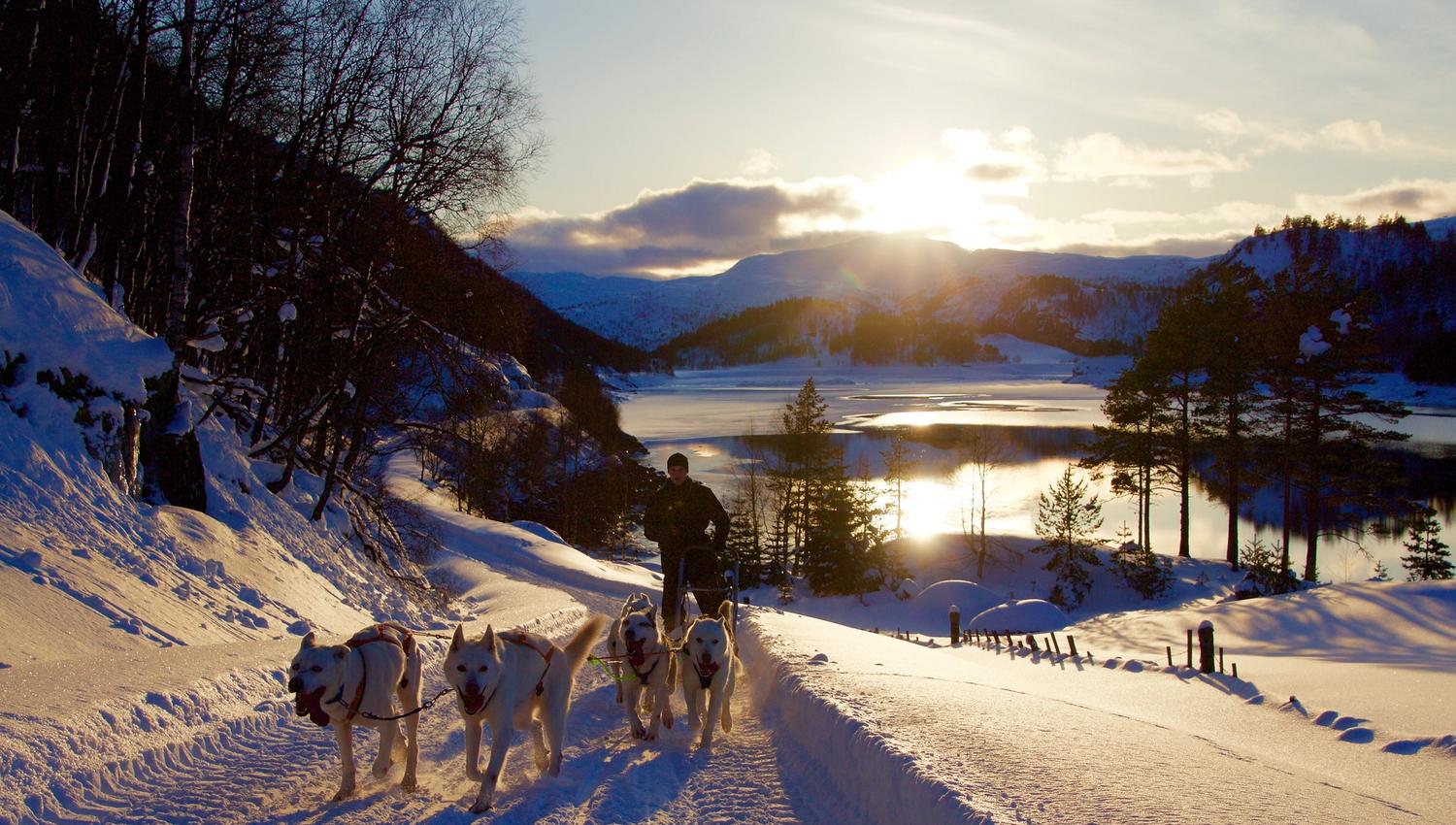 Sirdal Huskyfarm