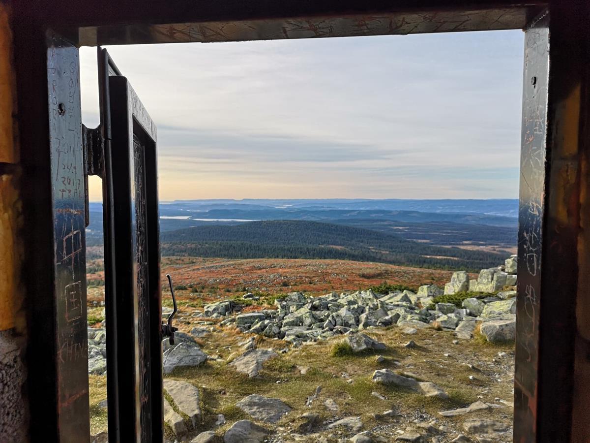 119849986_1411633312365652_8092286503485008321_n