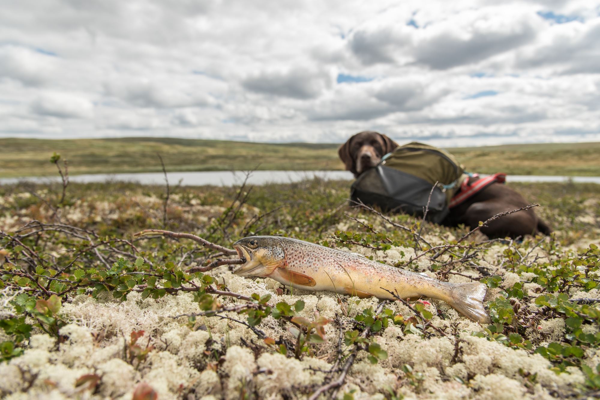 Fisketur med personlig guide