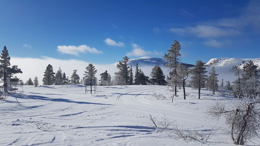 vinterlandskap-2_web