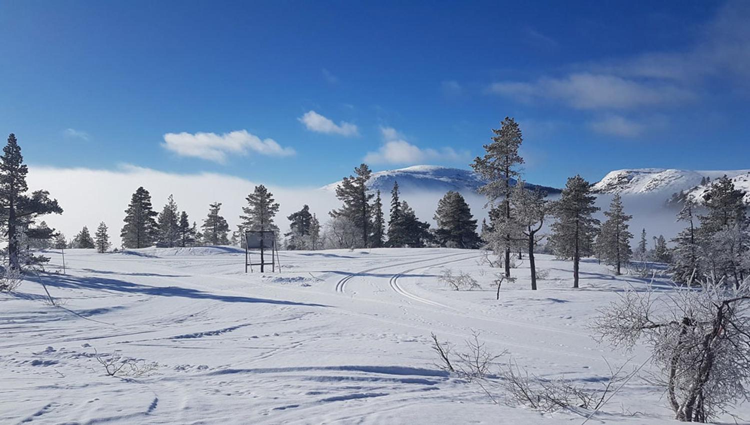 vinterlandskap-2_web