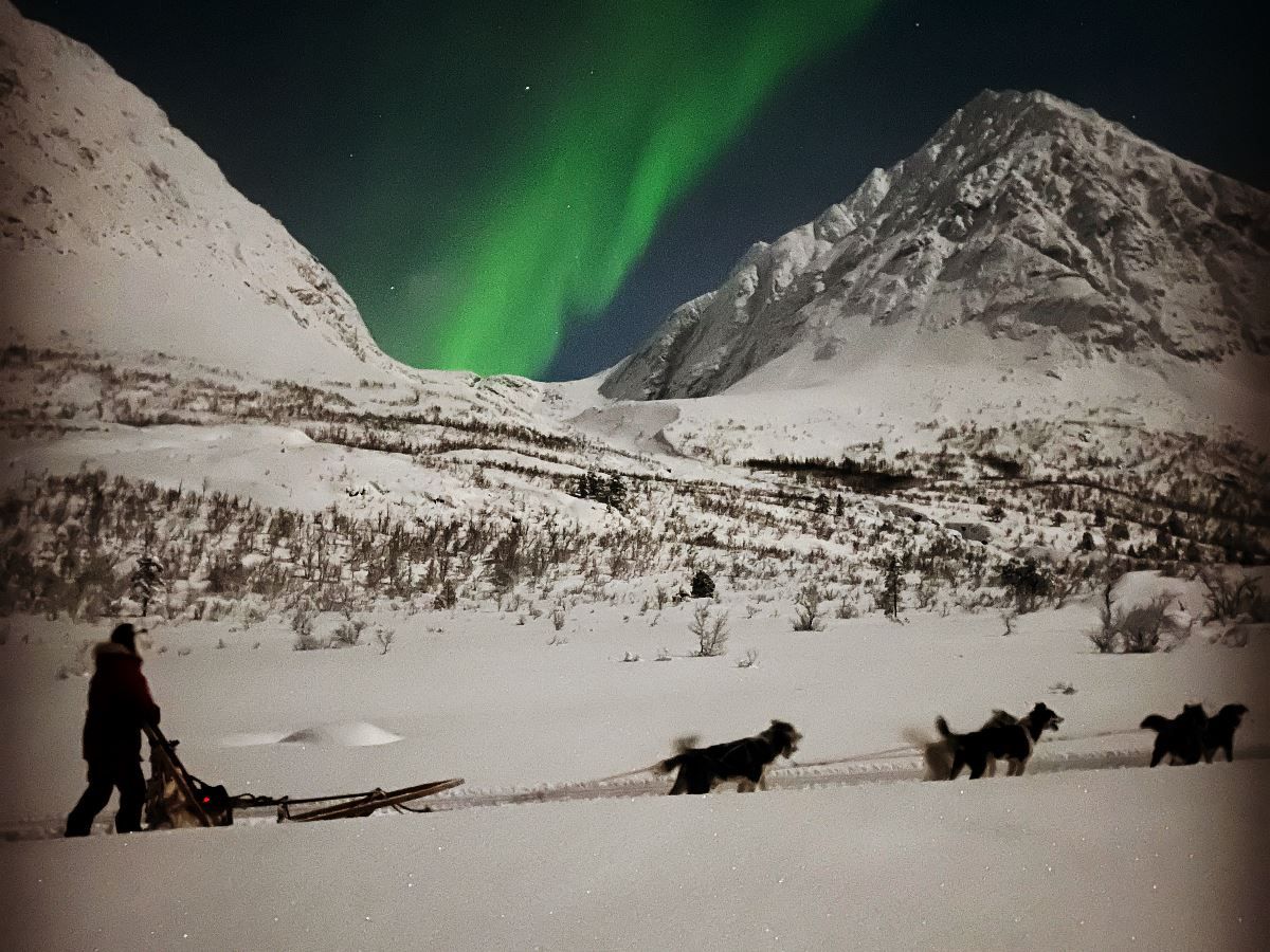 Lyngen Husky Safari