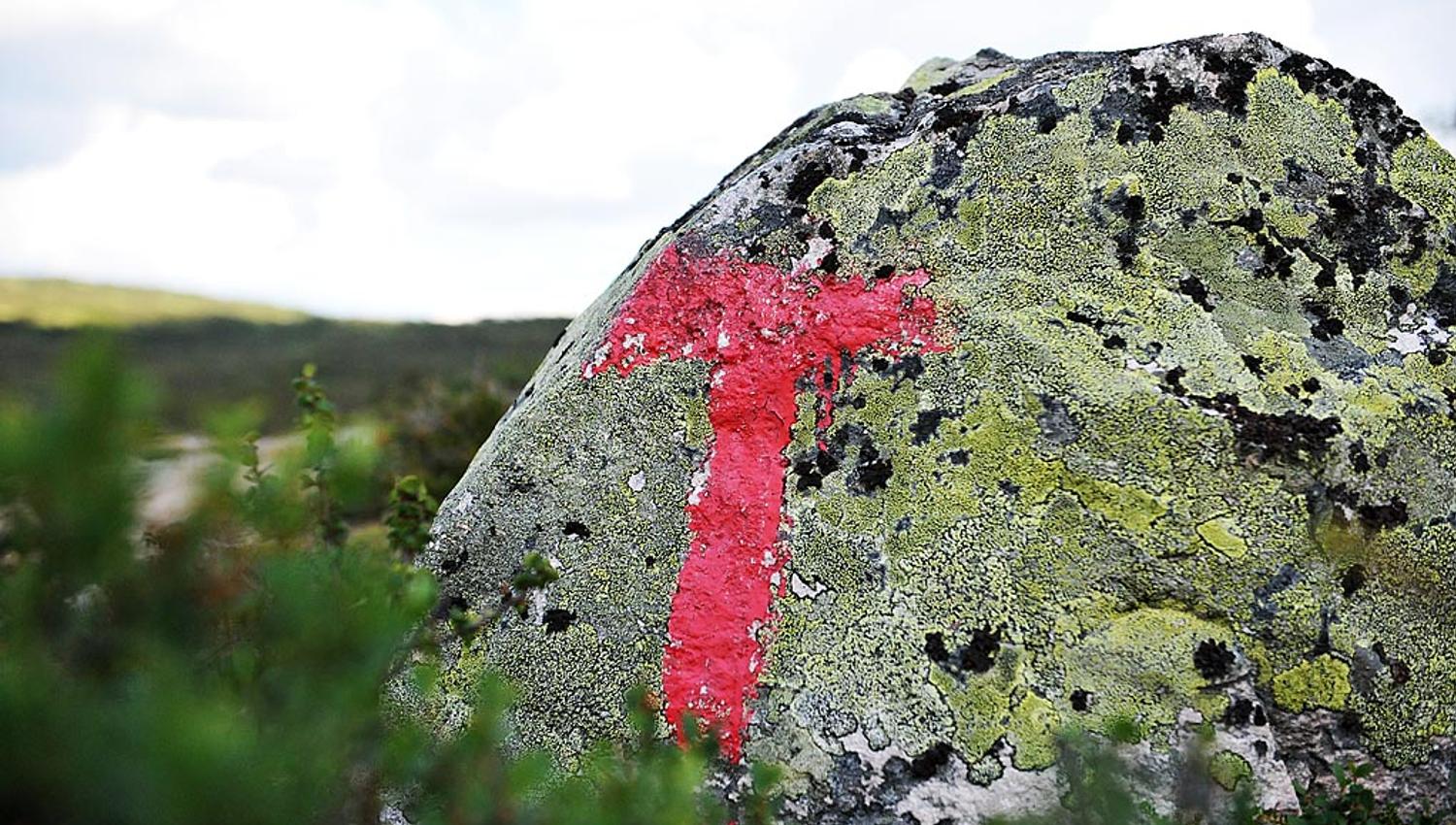 T-merkede løyper fra Hovden