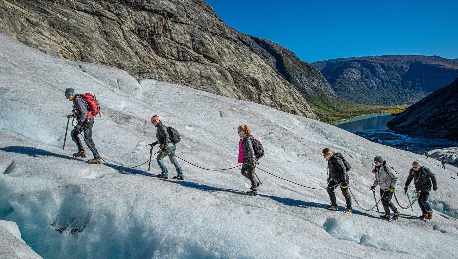 Nigardsbreen