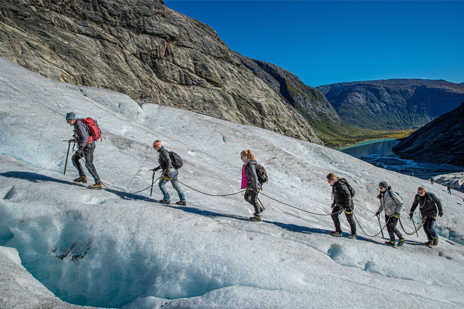 Nigardsbreen