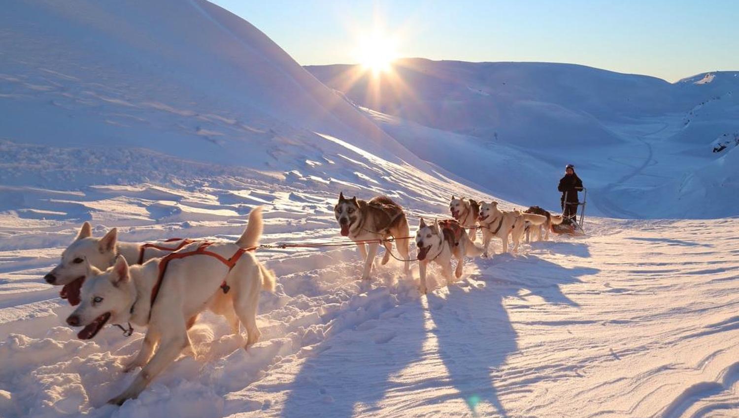 Sirdal Huskyfarm