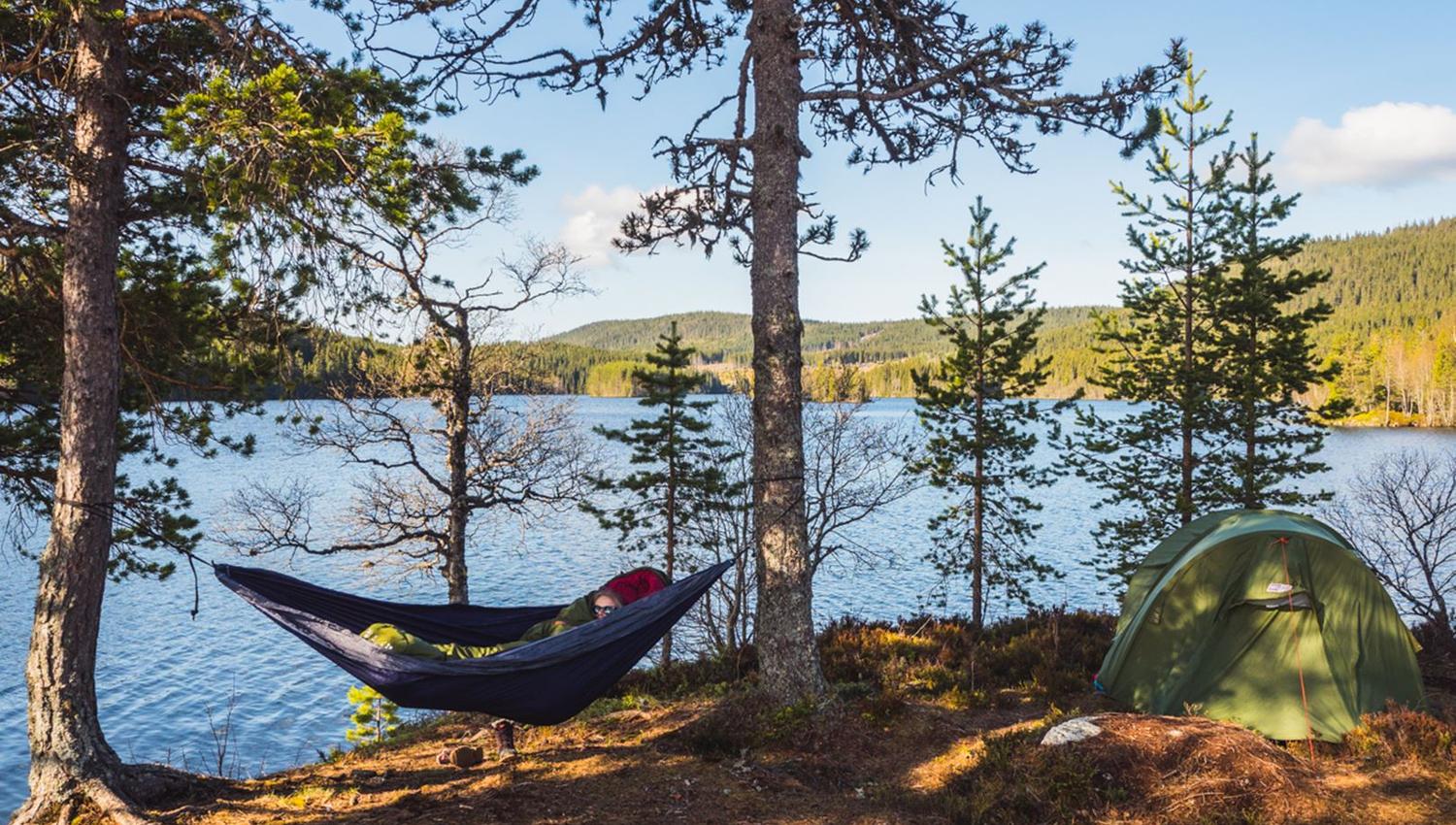 A hammock and a tent by a lake.