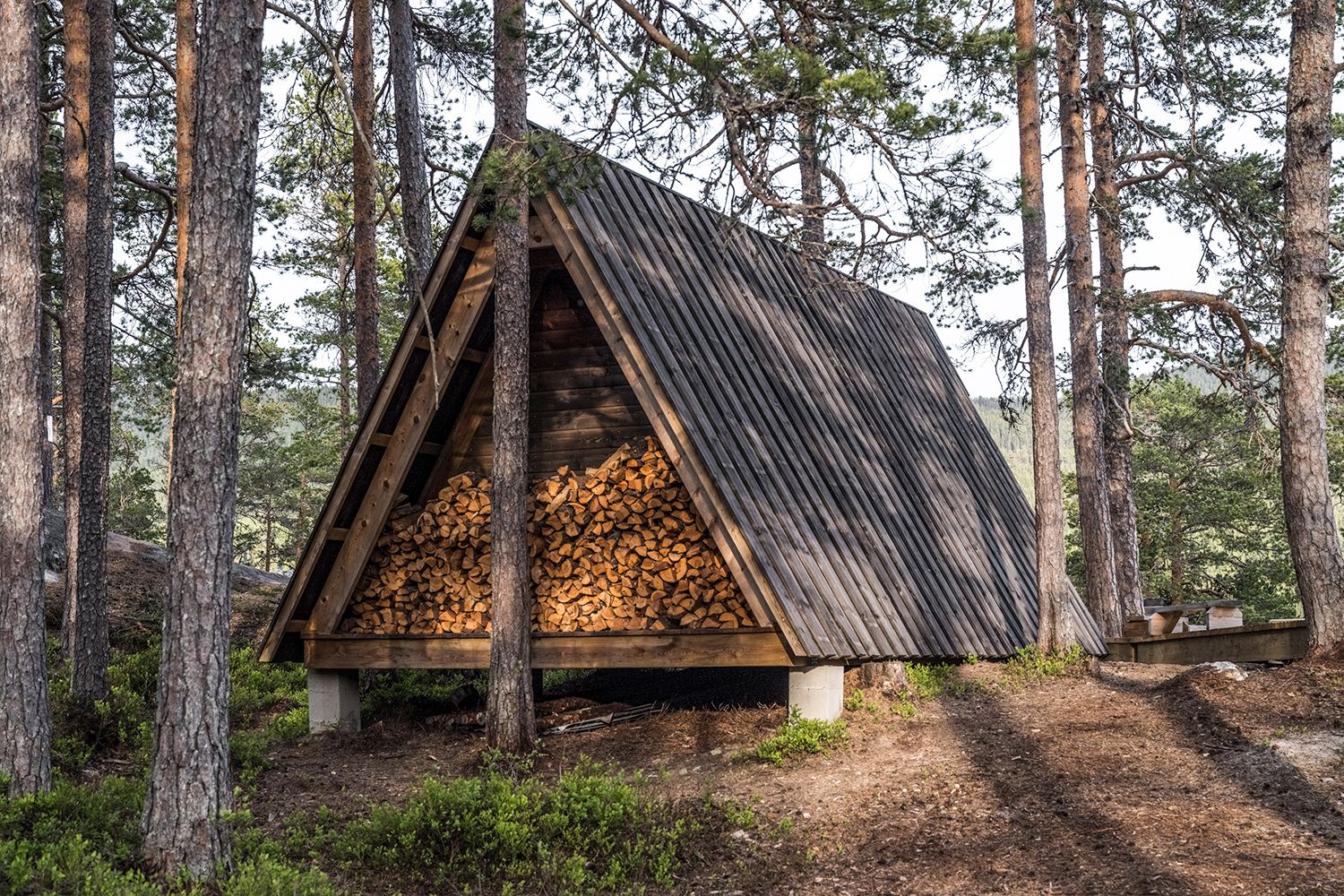 Gaping chin in Hamaren Activitypark. 