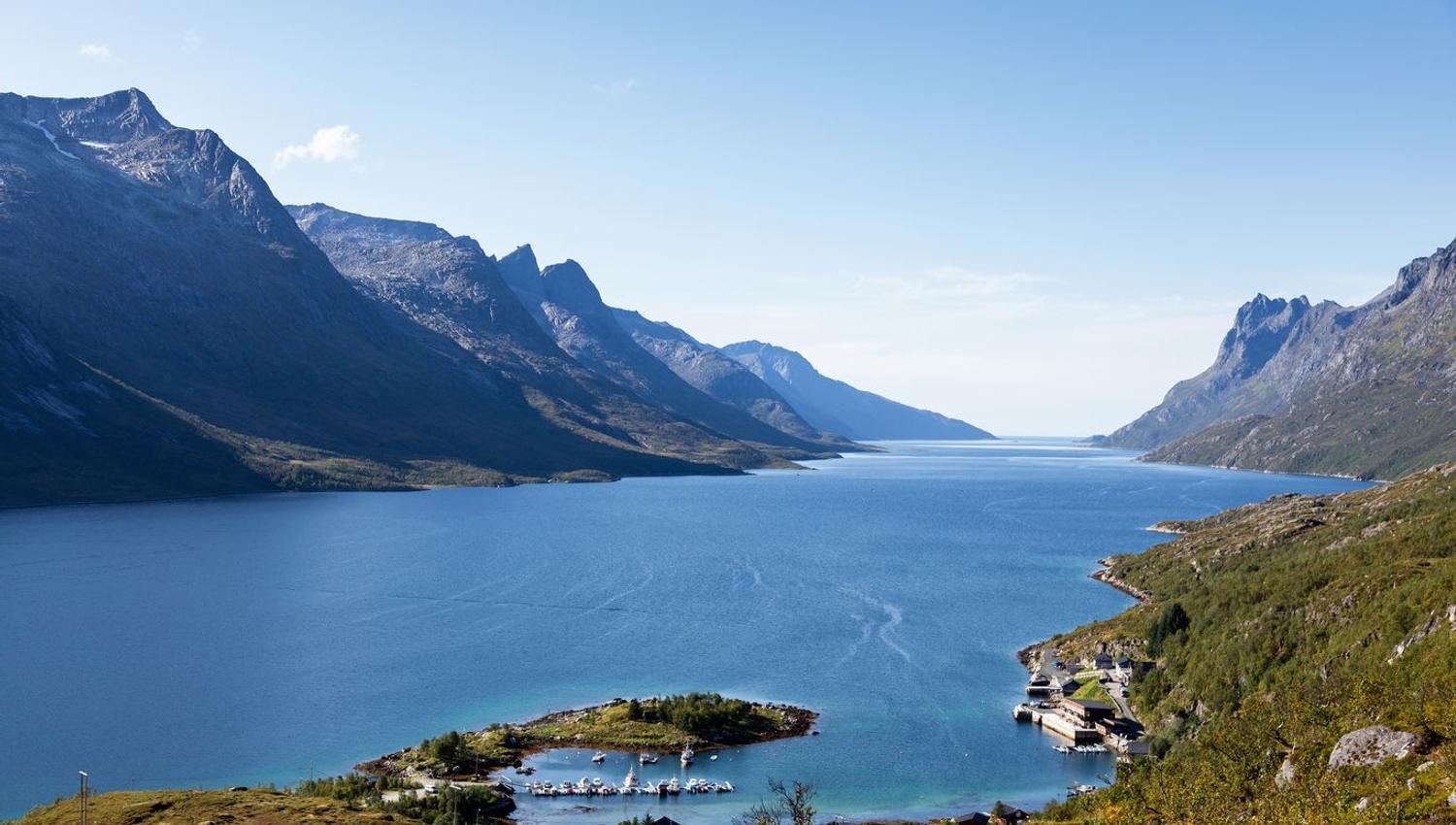 Beside the fjord