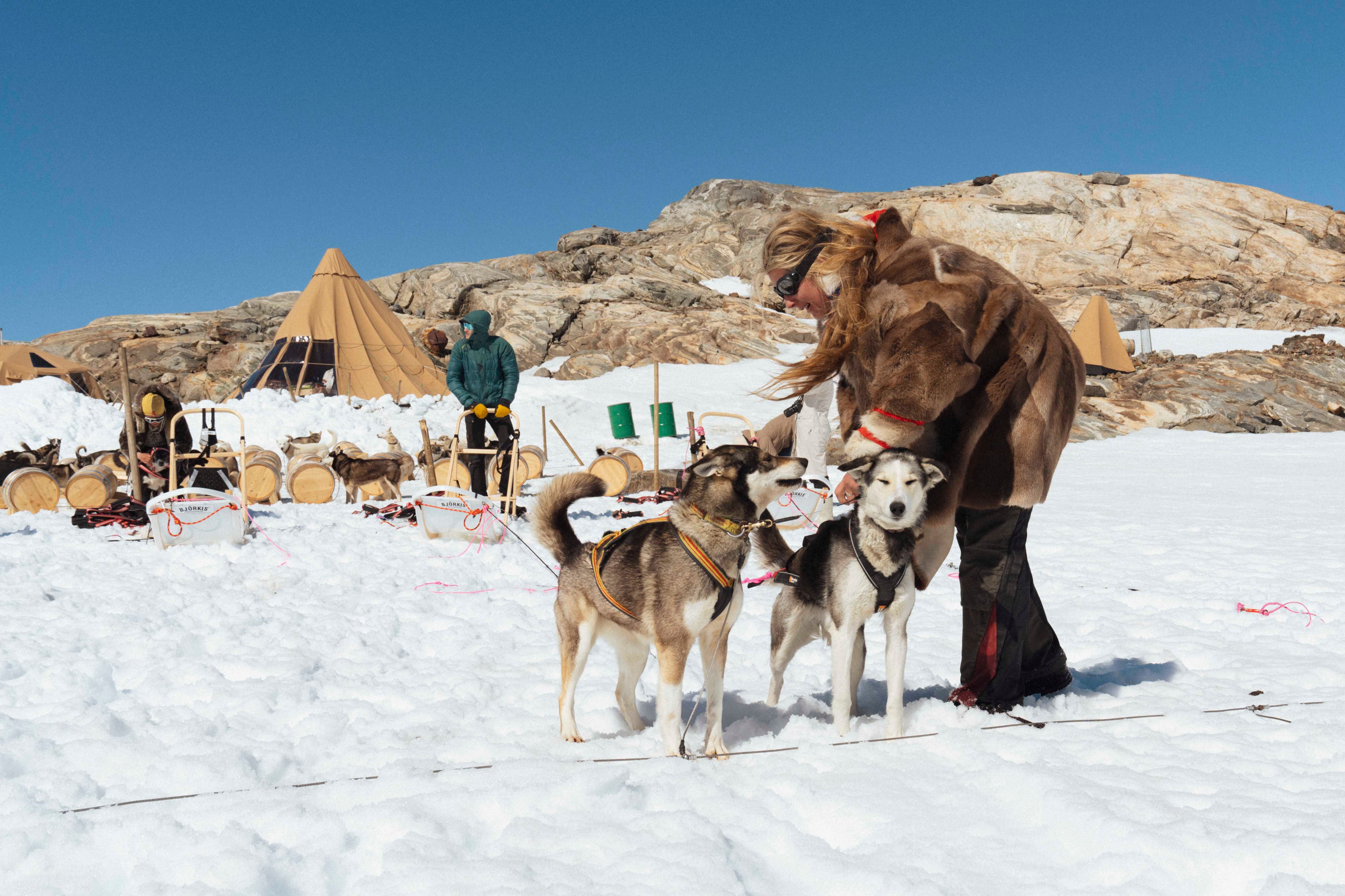 Eventyrer Moa Hunseid kler på to huskier i snøen på folgefonna husky camp.