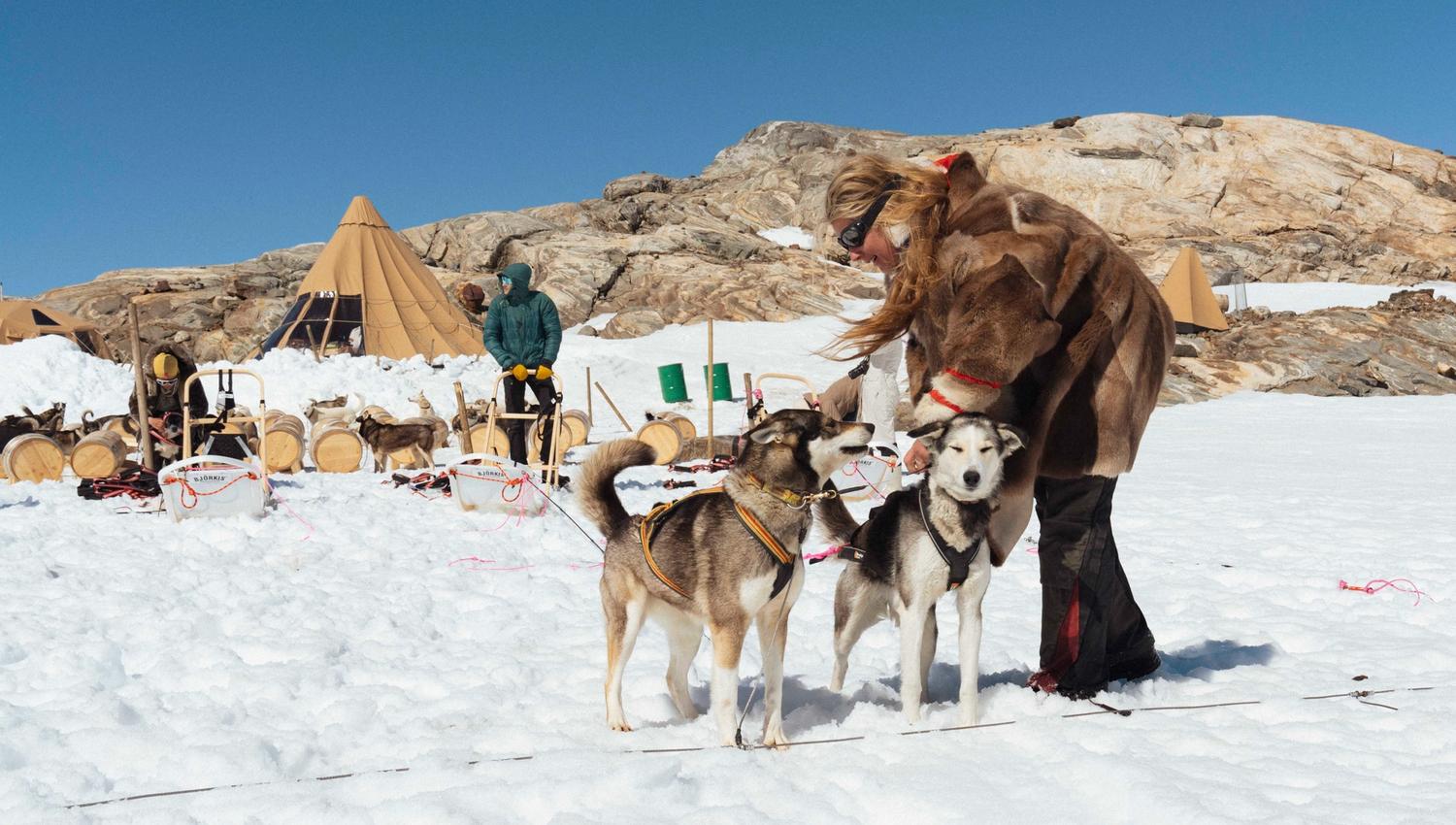 Eventyrer Moa Hunseid kler på to huskier i snøen på folgefonna husky camp.