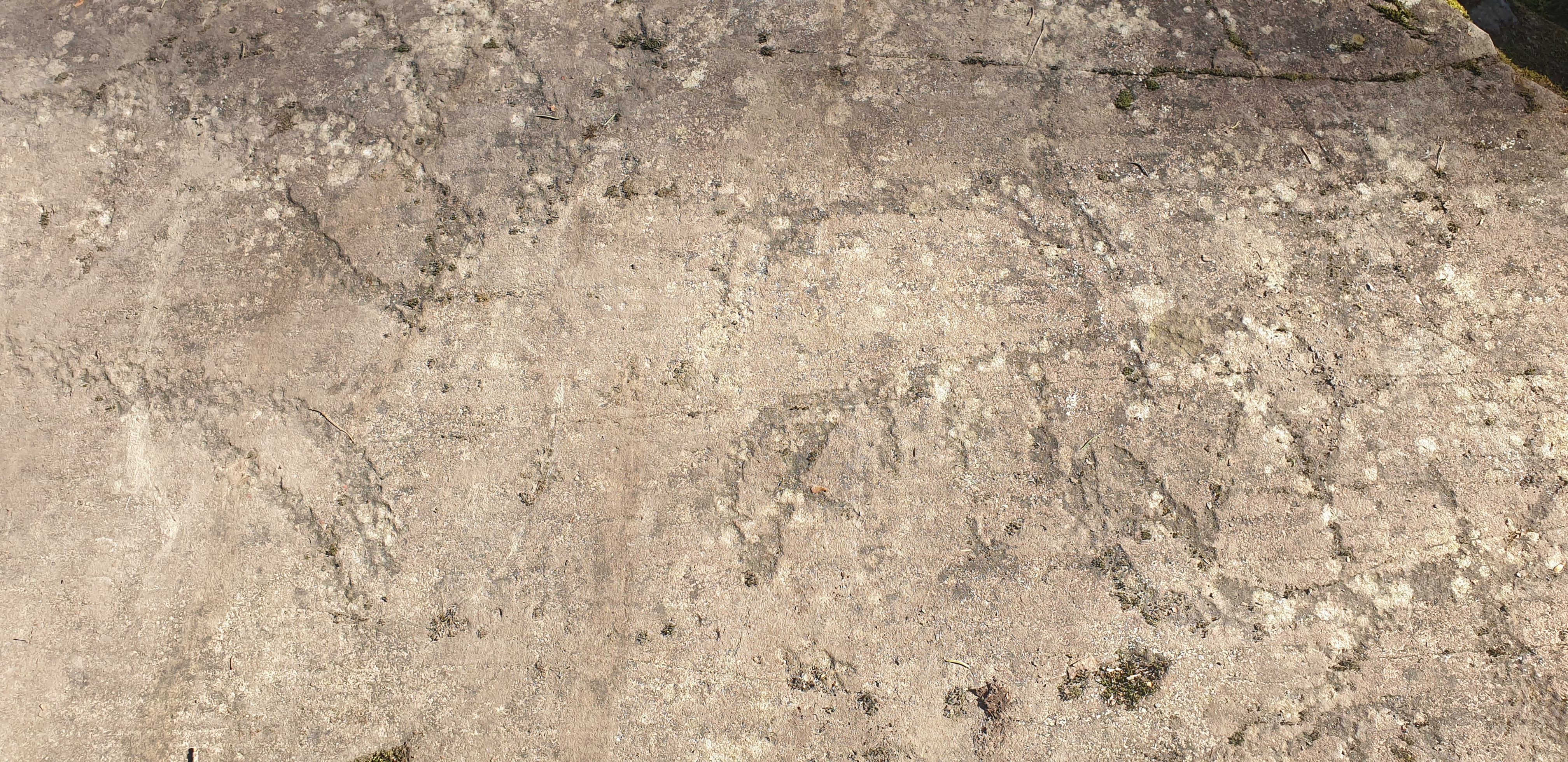 20200410_135507