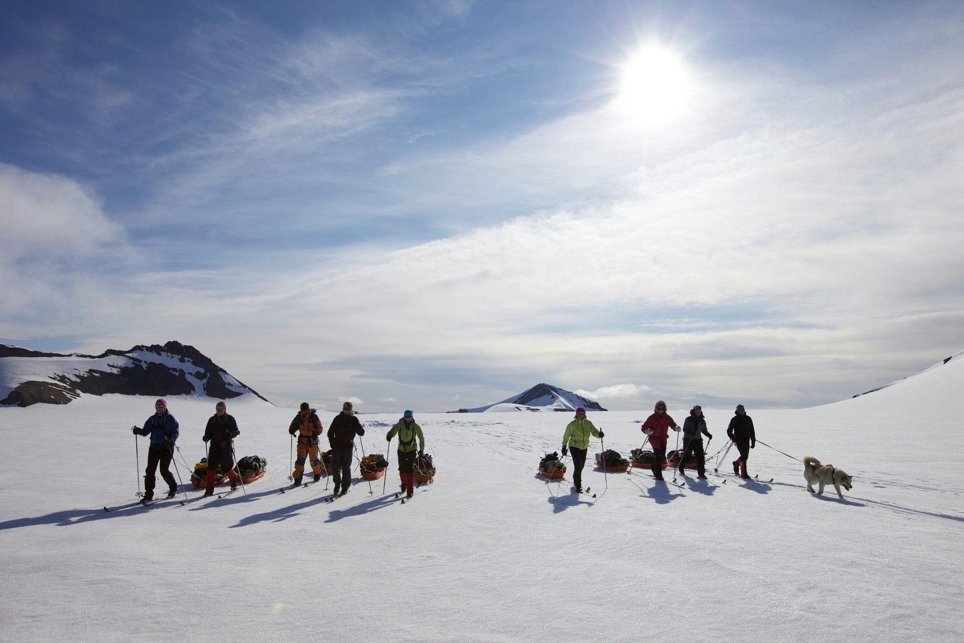 A tour group pulling sleds while skiing with a dog