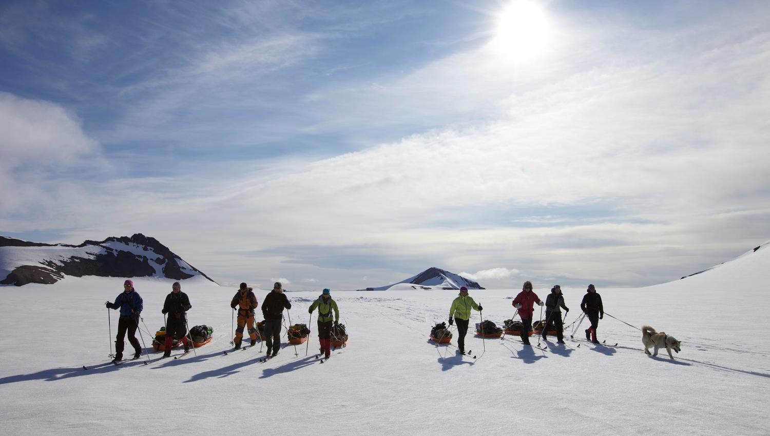 A tour group pulling sleds while skiing with a dog