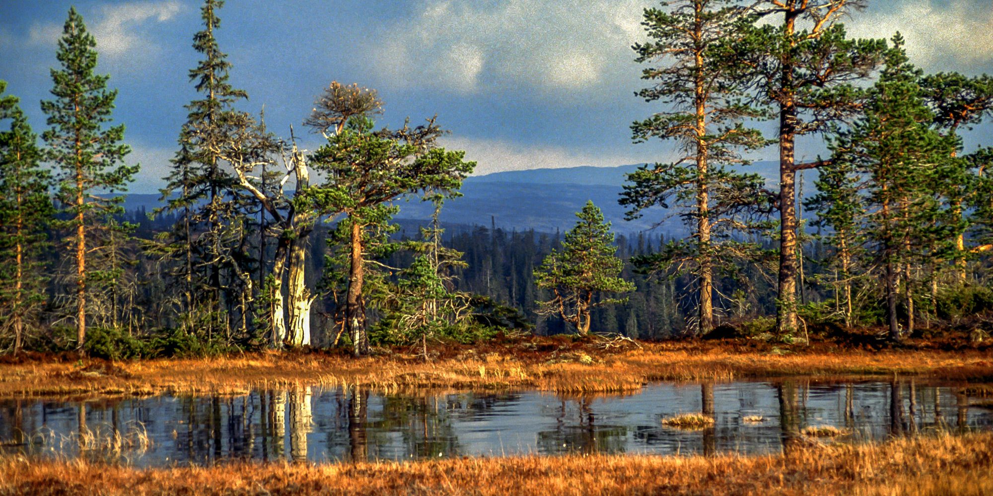 Skjækra Mountain by Lake Andreastjønna