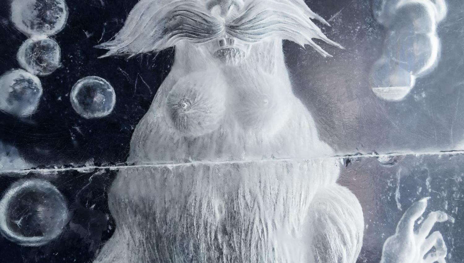 Ice art