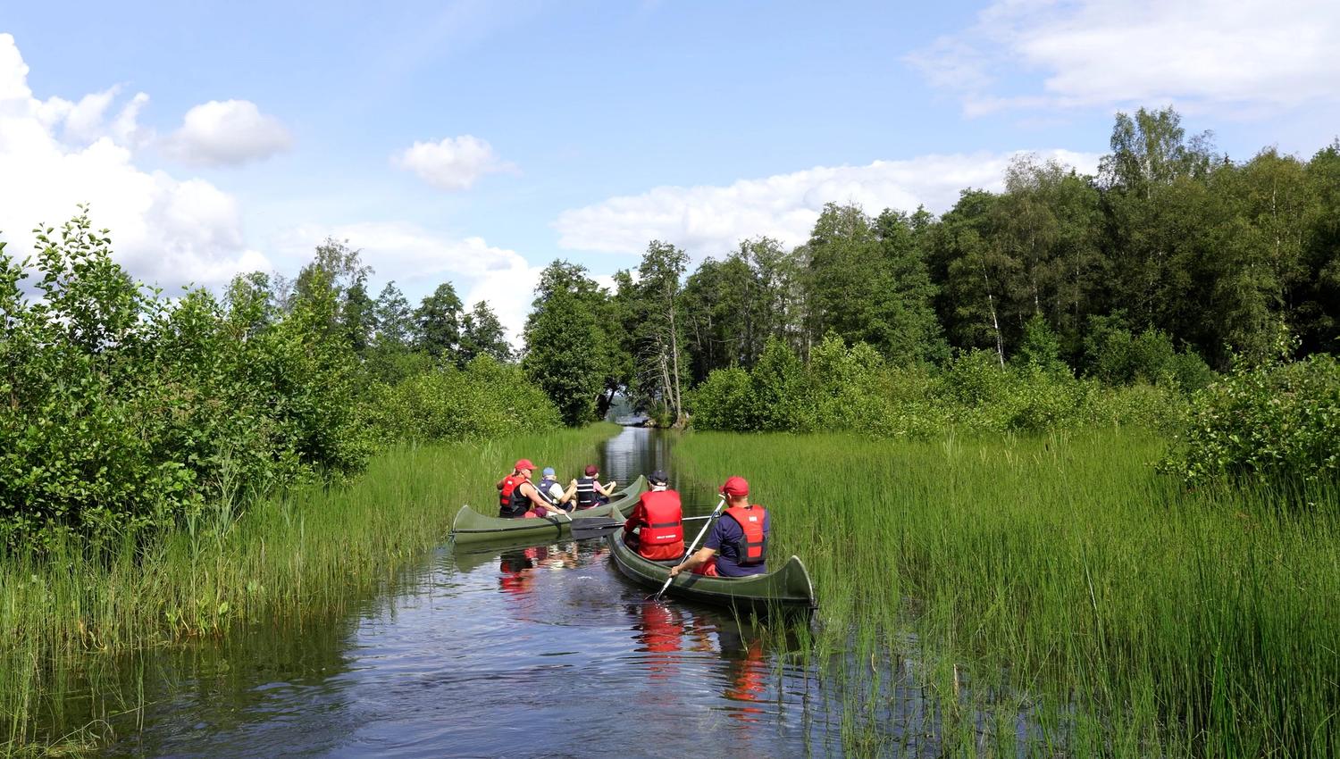 Paddler i vannet