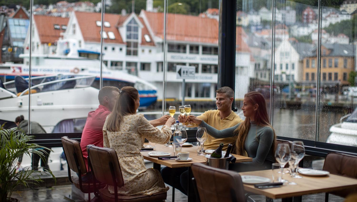 Fjellskål