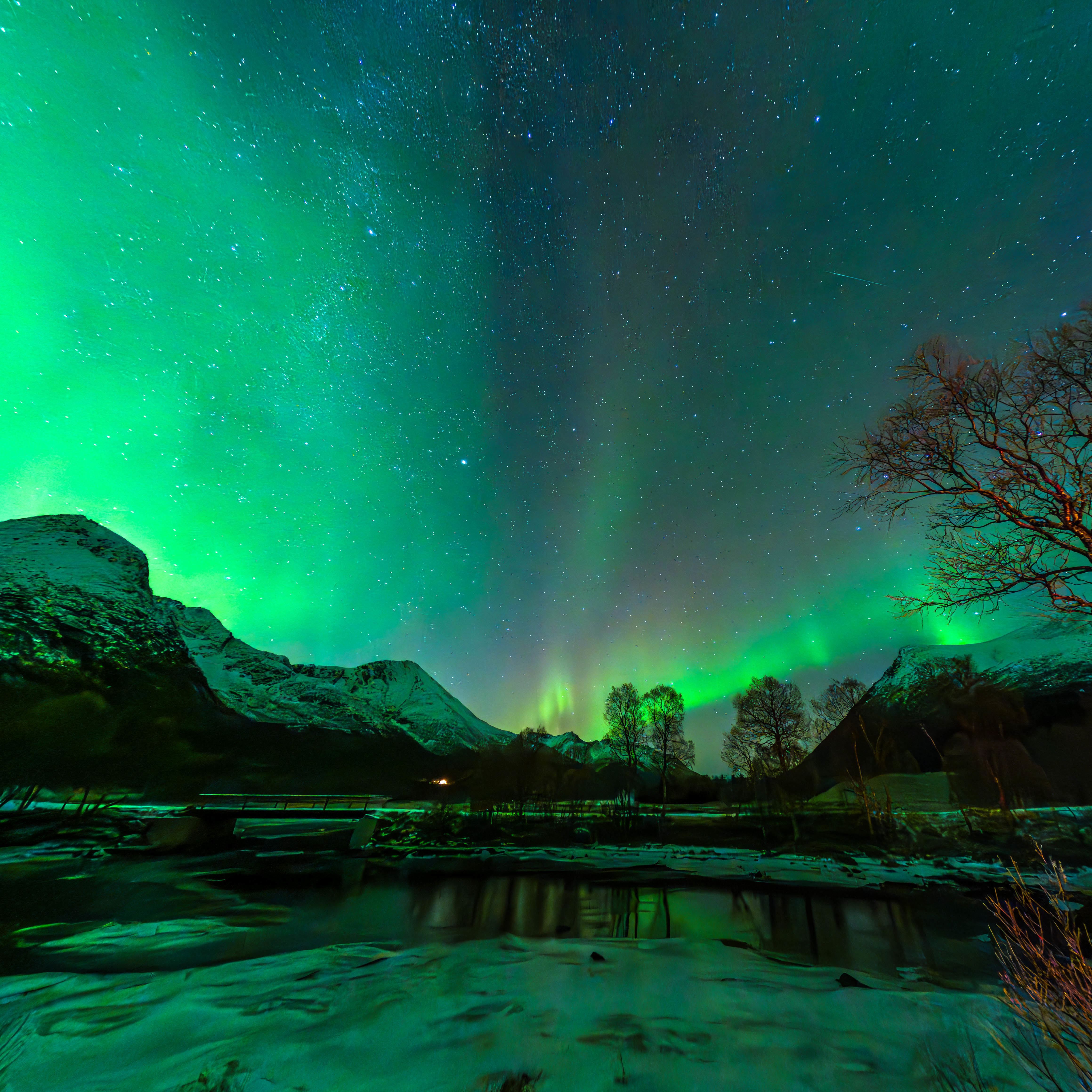 Nordlys