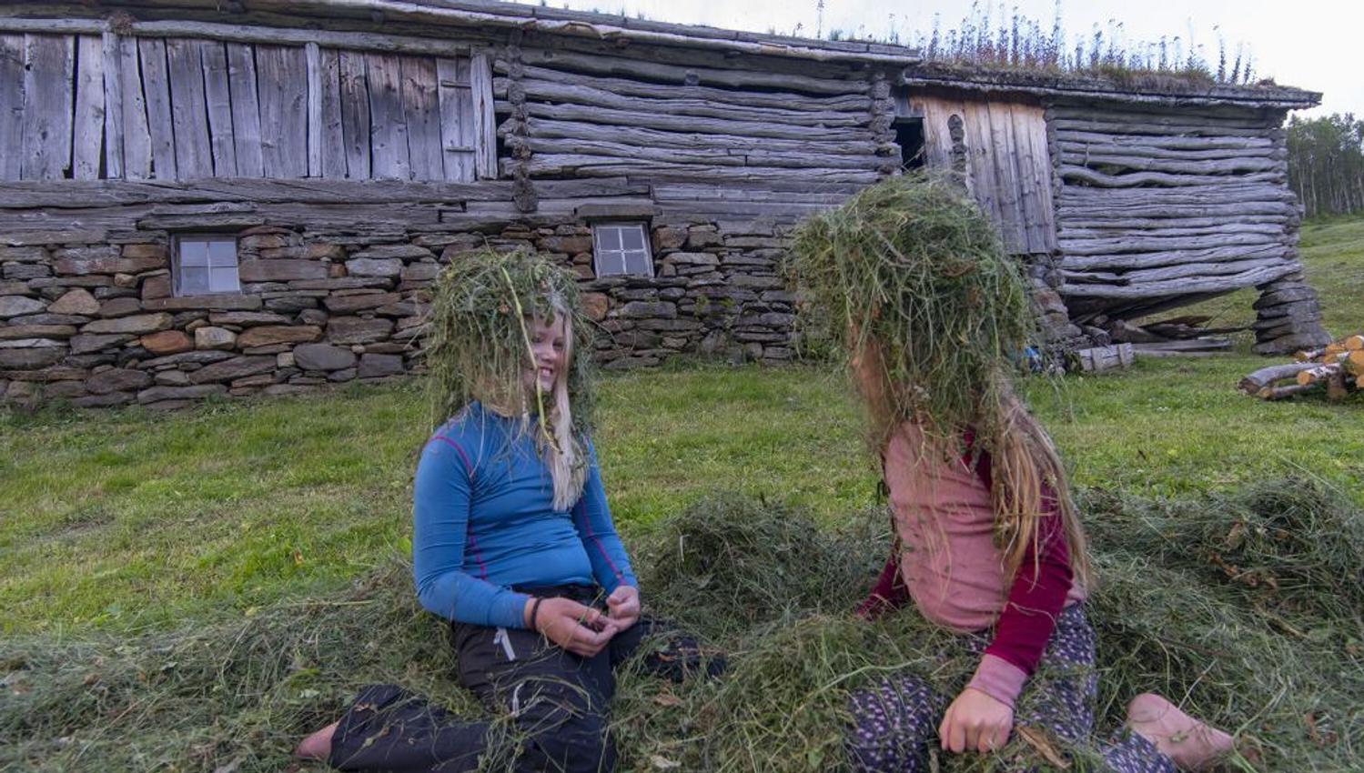 Helgeland Museum