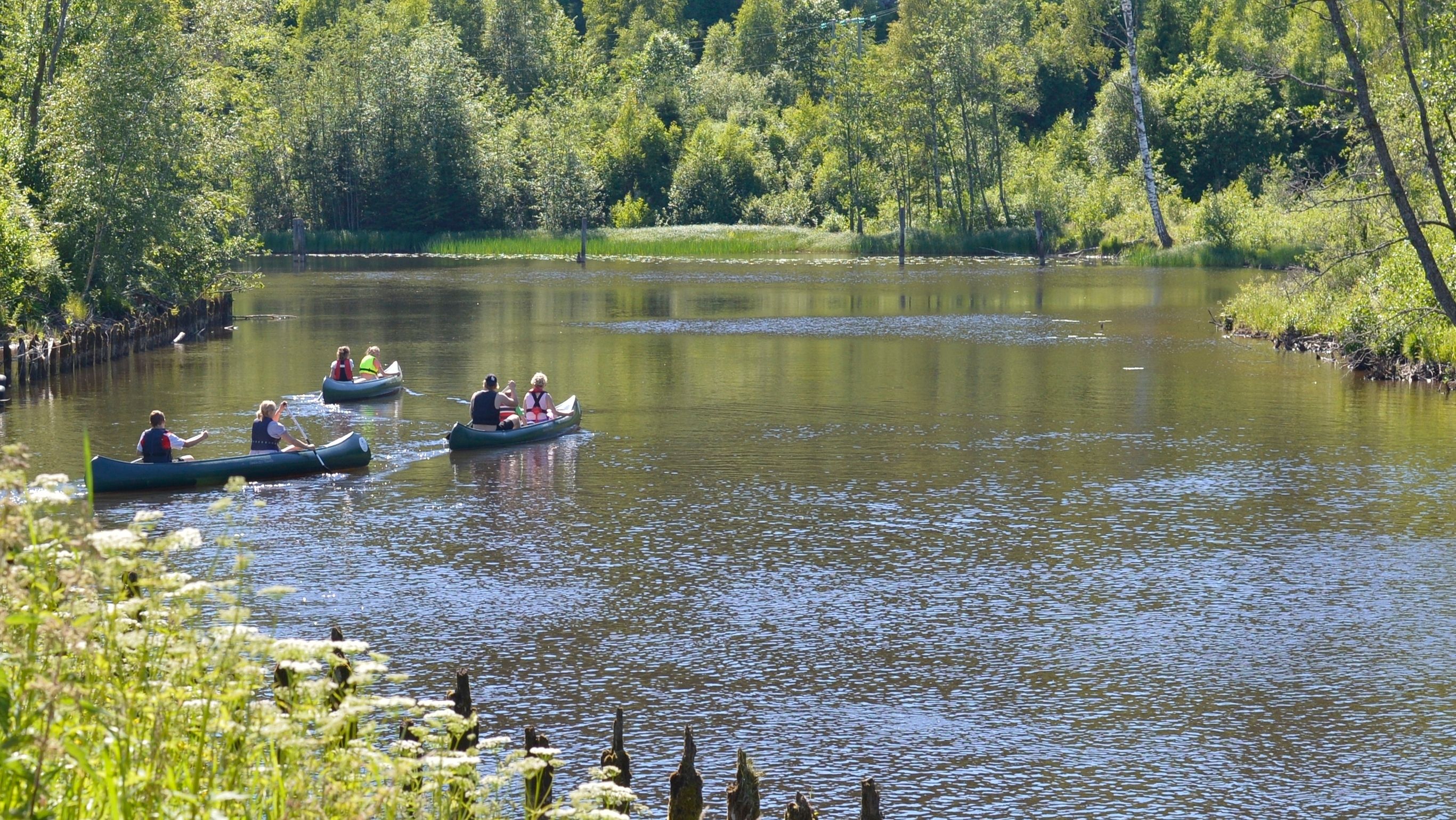 Tre kanoer padler på vannet