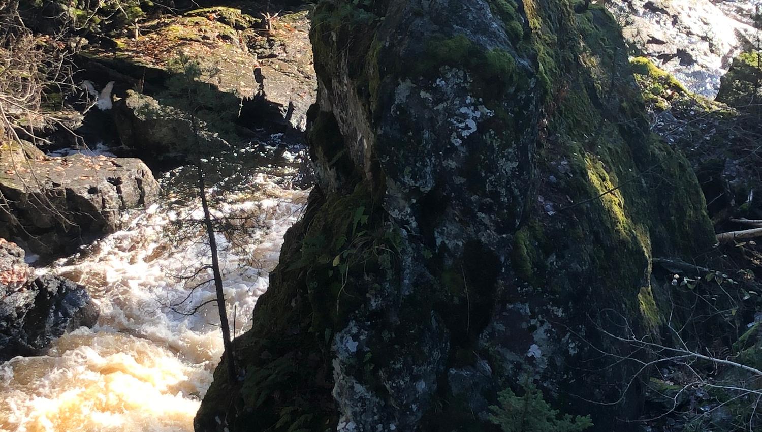 Lindland Natur