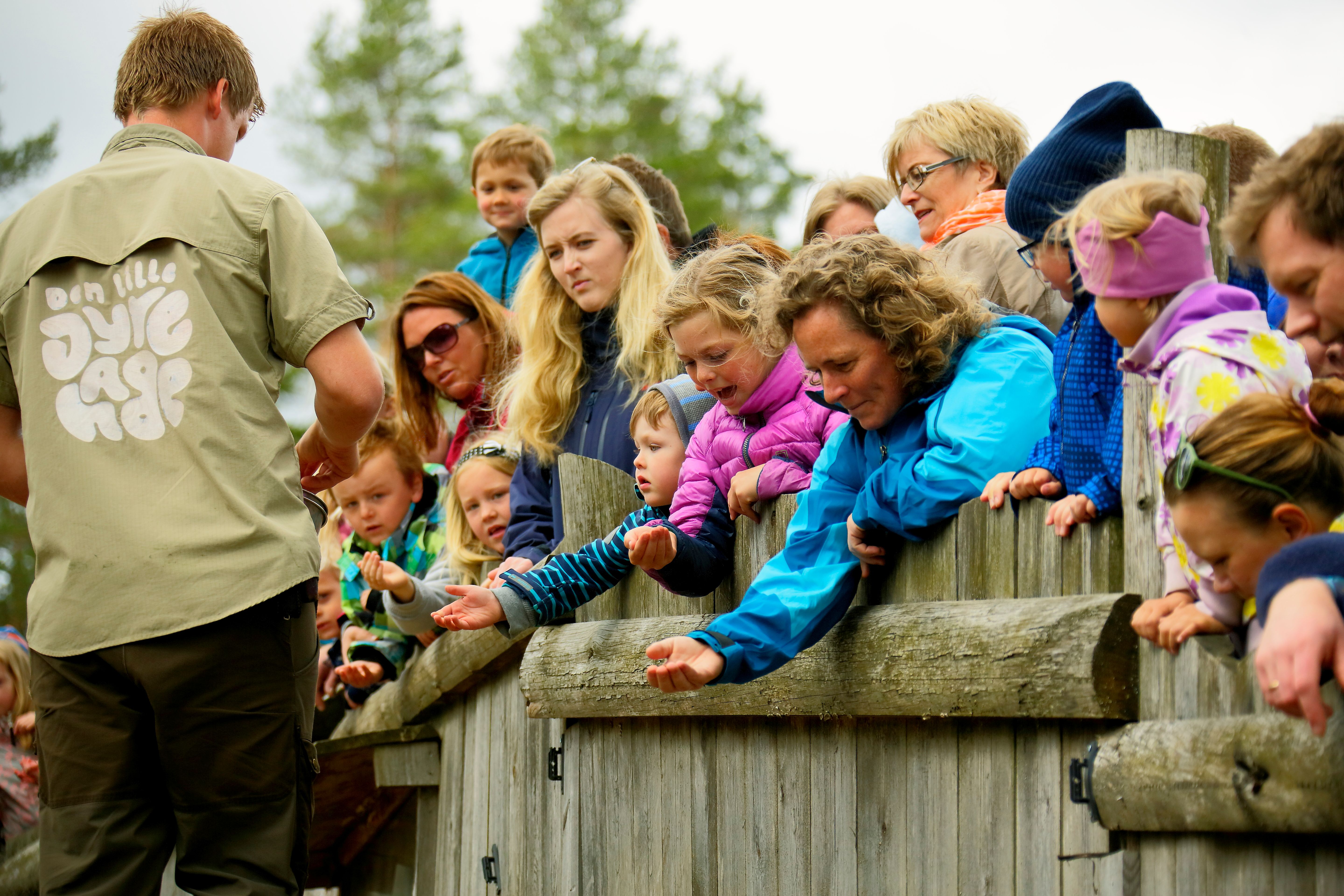 Den Lille Dyrehage publikum