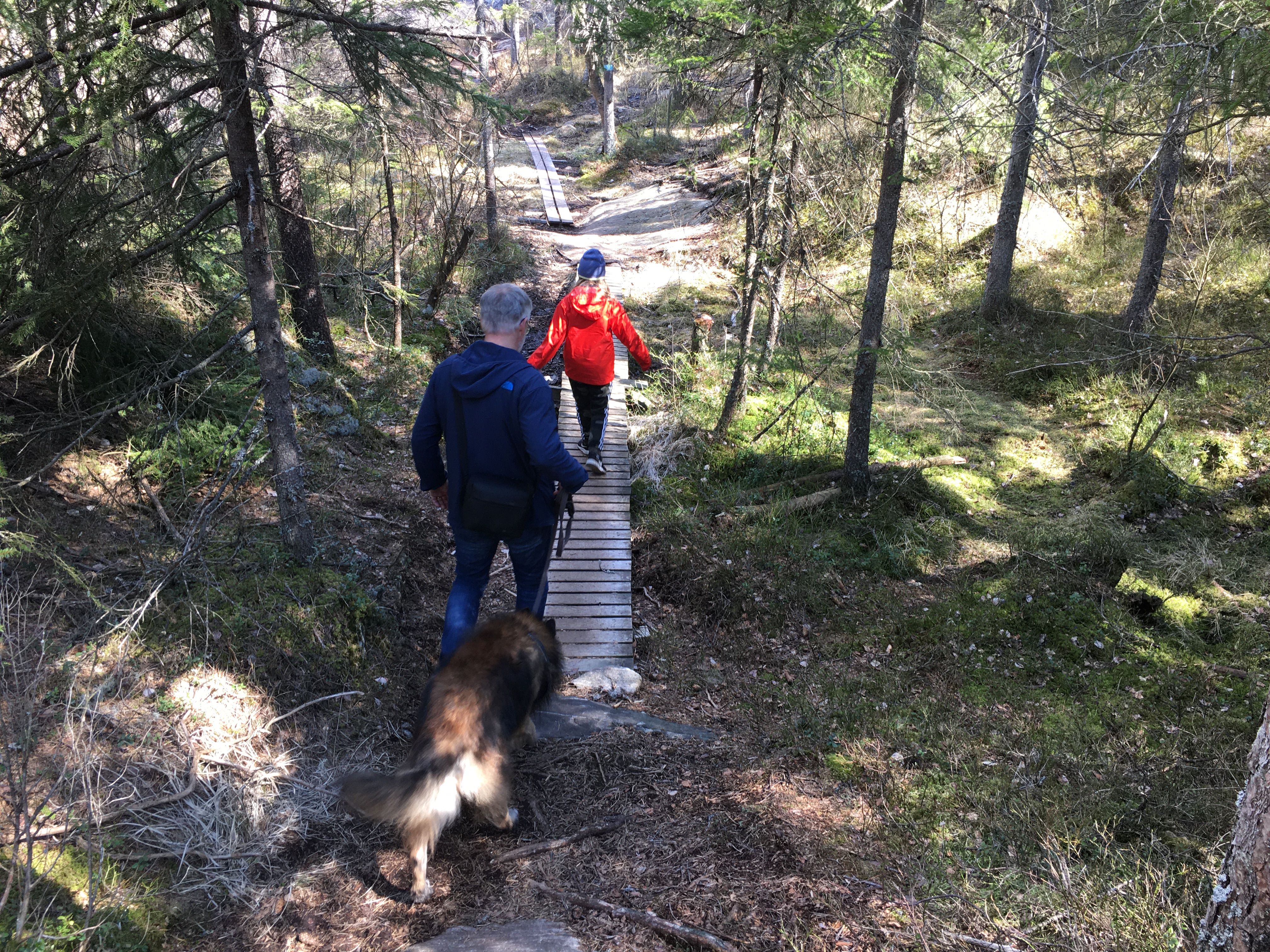 Voksen og barn, samt hund på tur over klopp