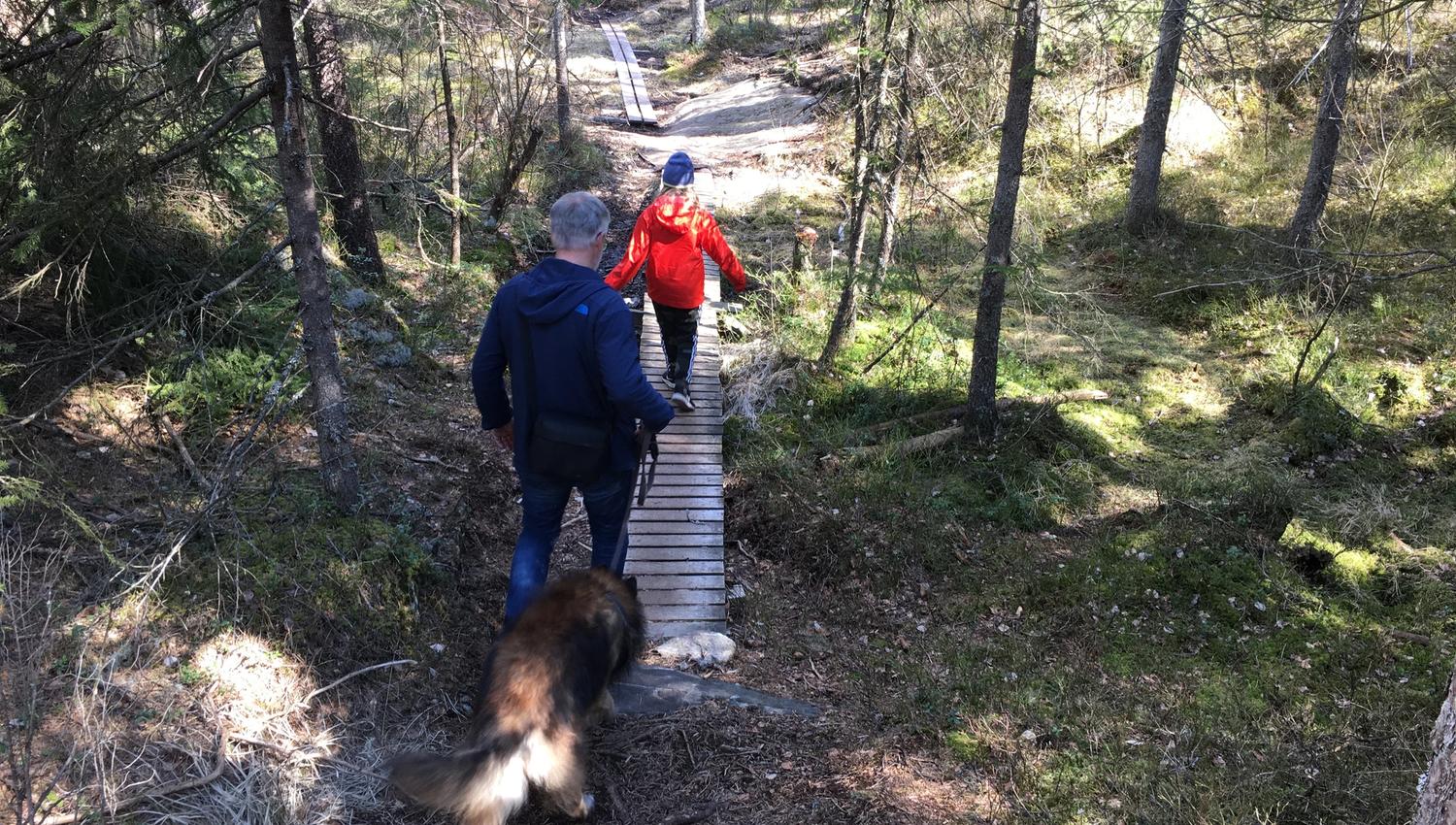 Voksen og barn, samt hund på tur over klopp