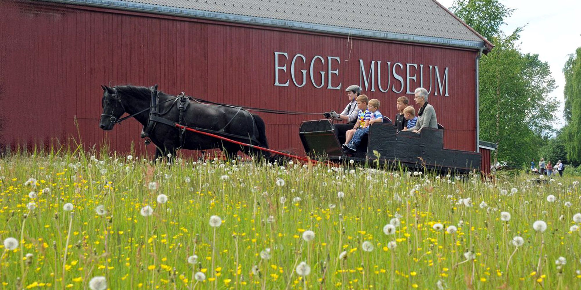 Horse and carriage in front of the exhibition hall at Egge Museum in Steinkjer