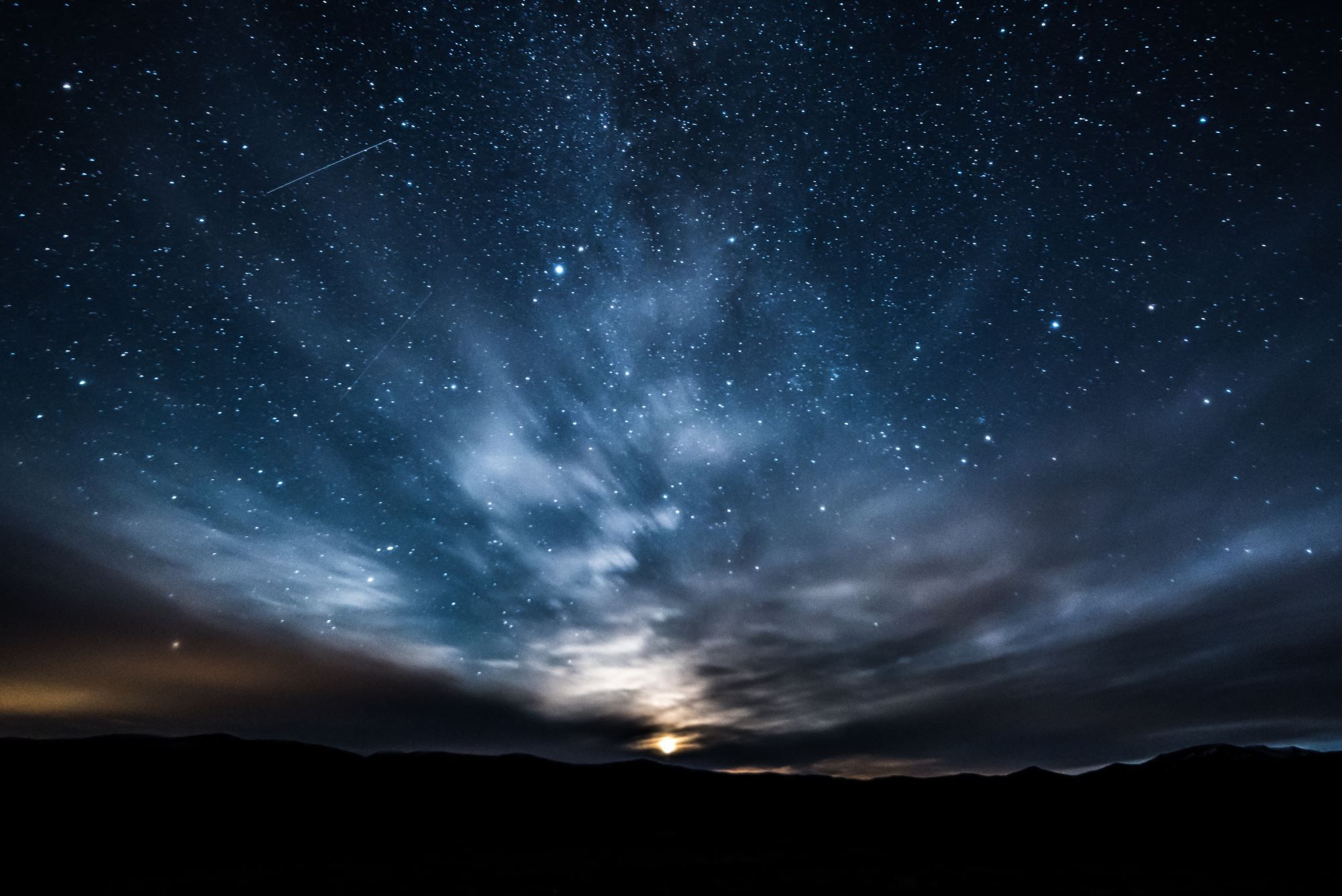 Moskussafari m/personlig guide, 2 dager