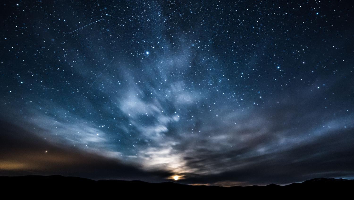 Moskussafari m/personlig guide, 2 dager