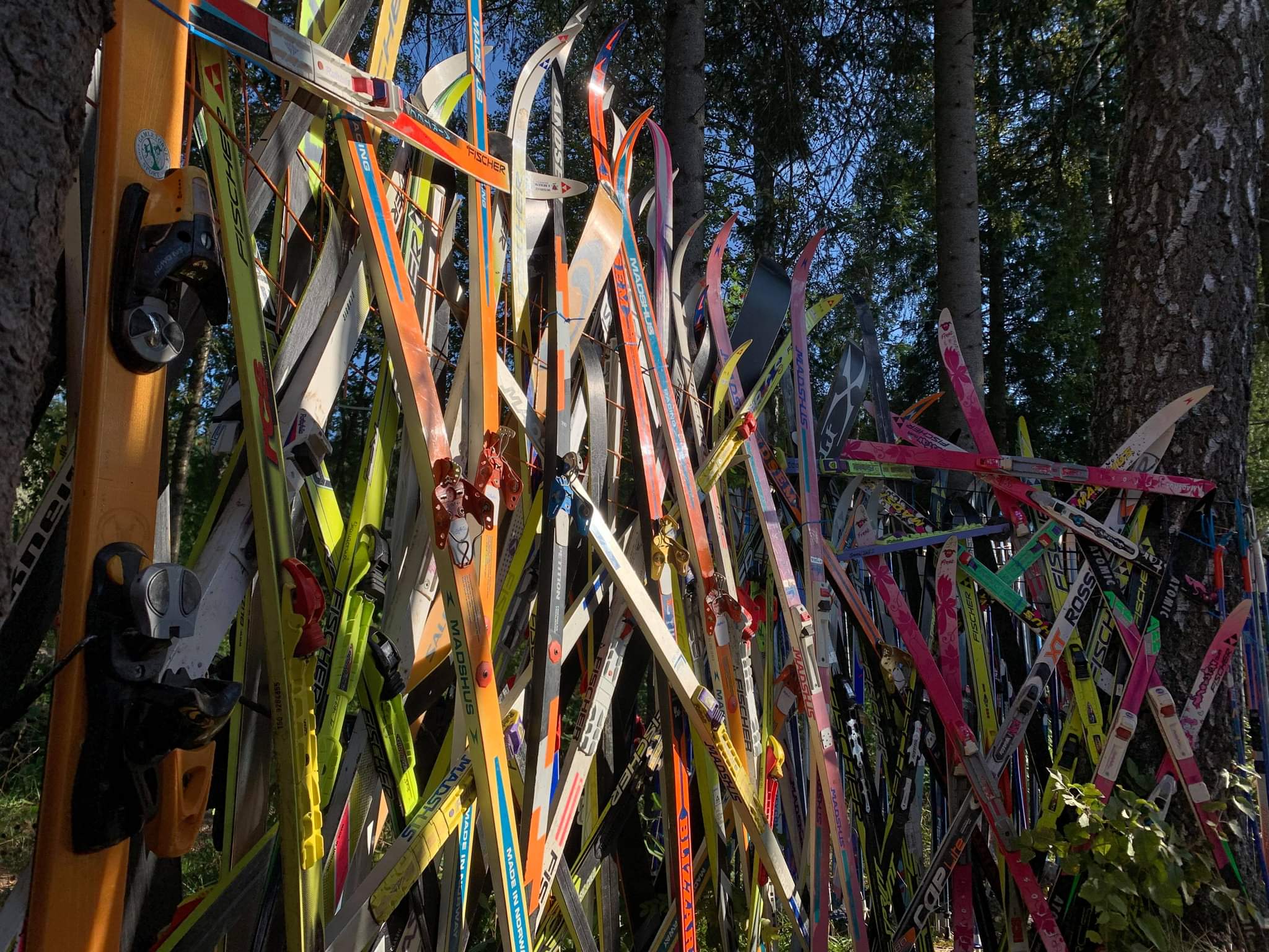 Sjeip-øpp løype på Vind i Gjøvik. Skigardkunst