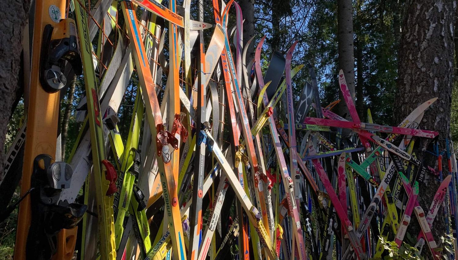 Sjeip-øpp løype på Vind i Gjøvik. Skigardkunst