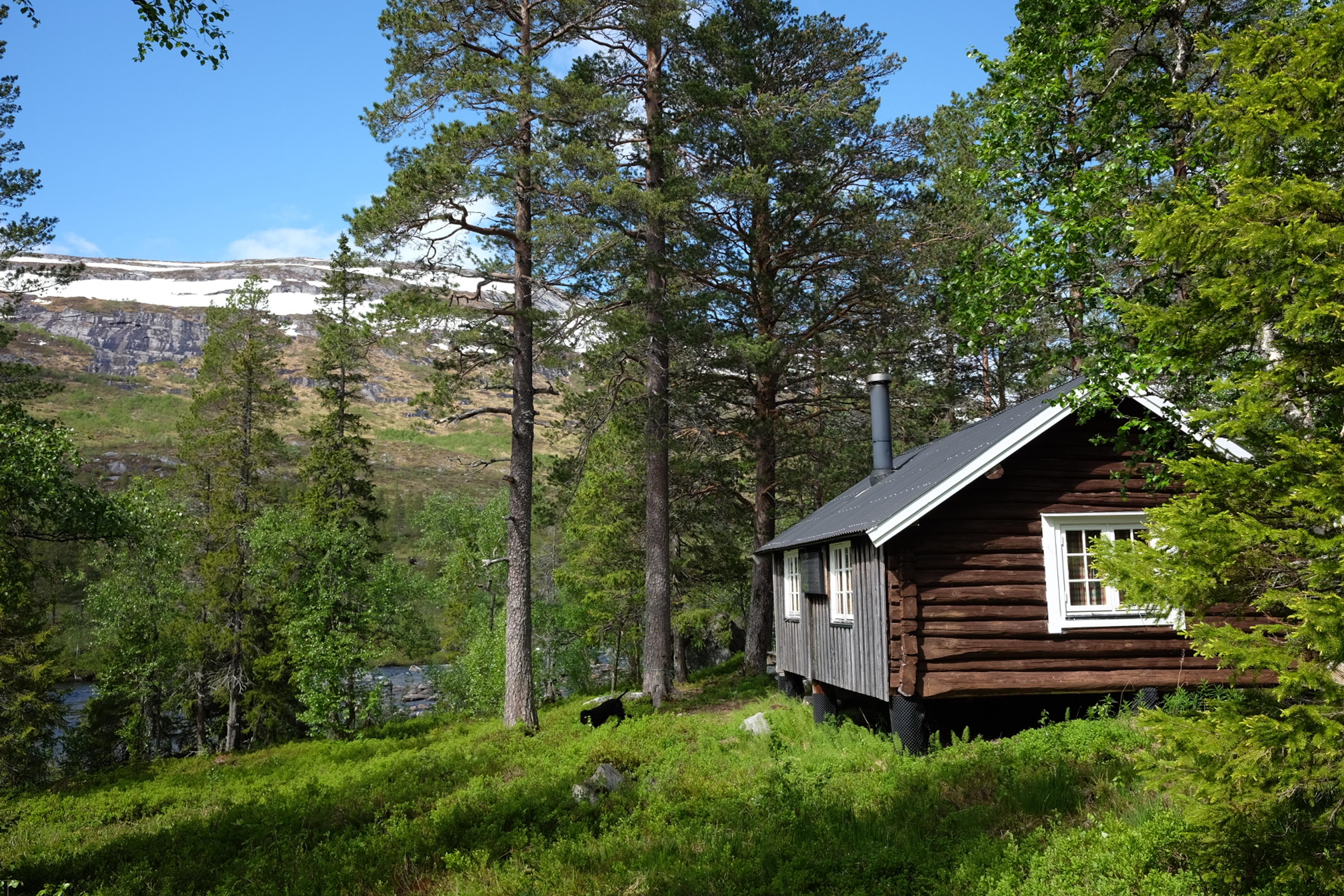 Wilderness cabins - Namsskogan Mountain Board