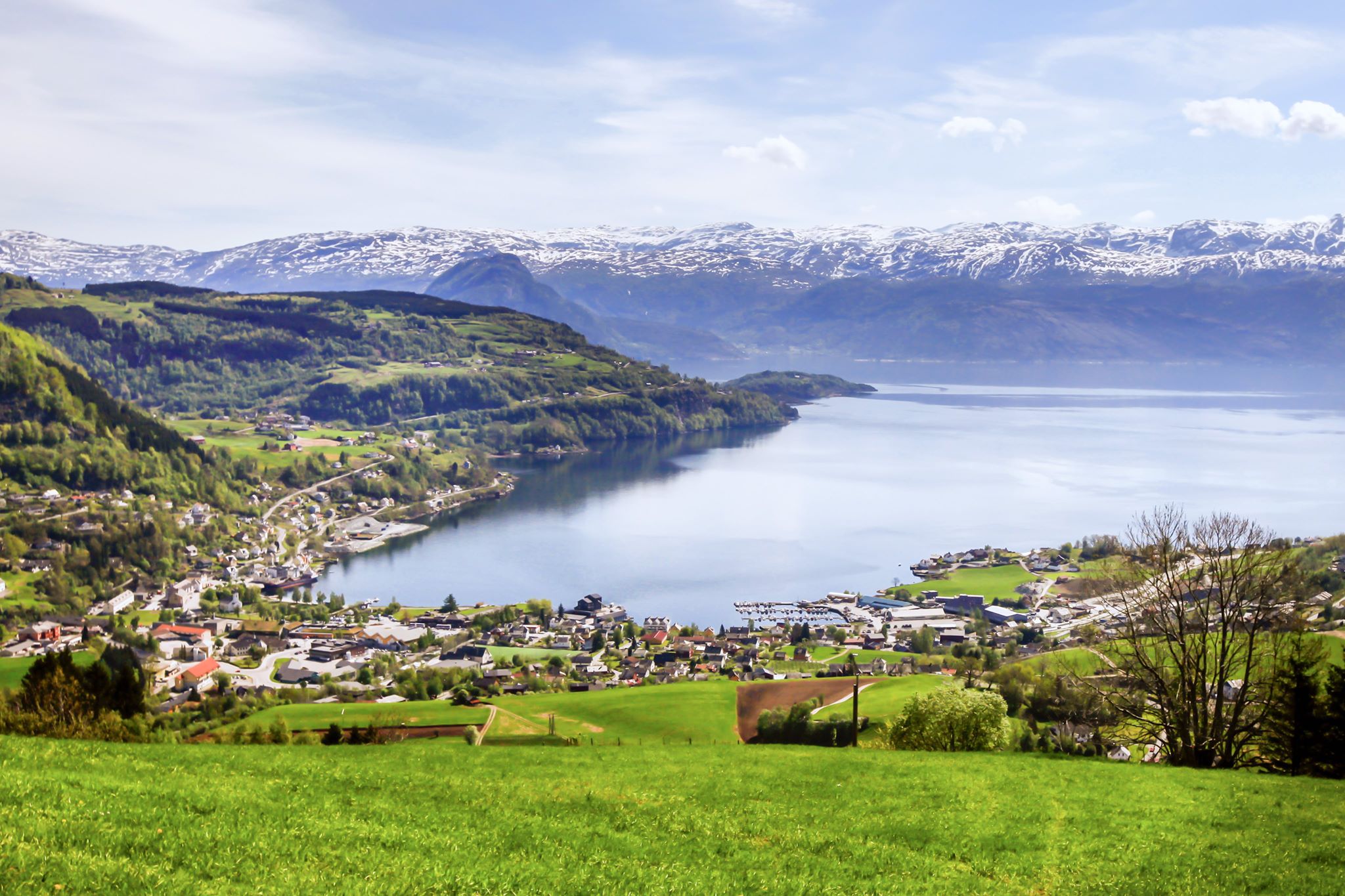 Panoramautsikt over Hardangerfjorden og dei snødekte fjella som omkransar fjorden.