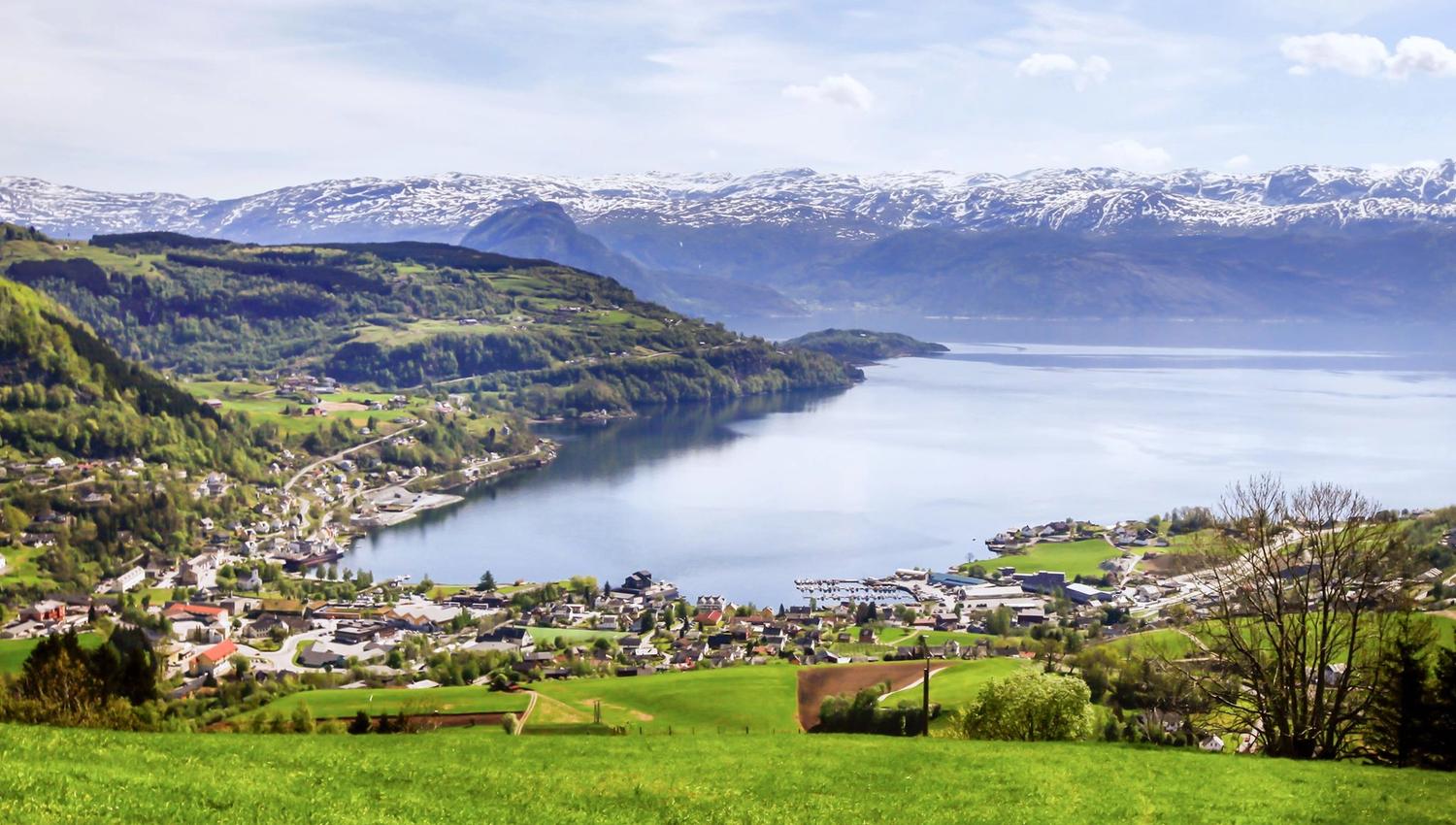 Panoramautsikt over Hardangerfjorden og dei snødekte fjella som omkransar fjorden.