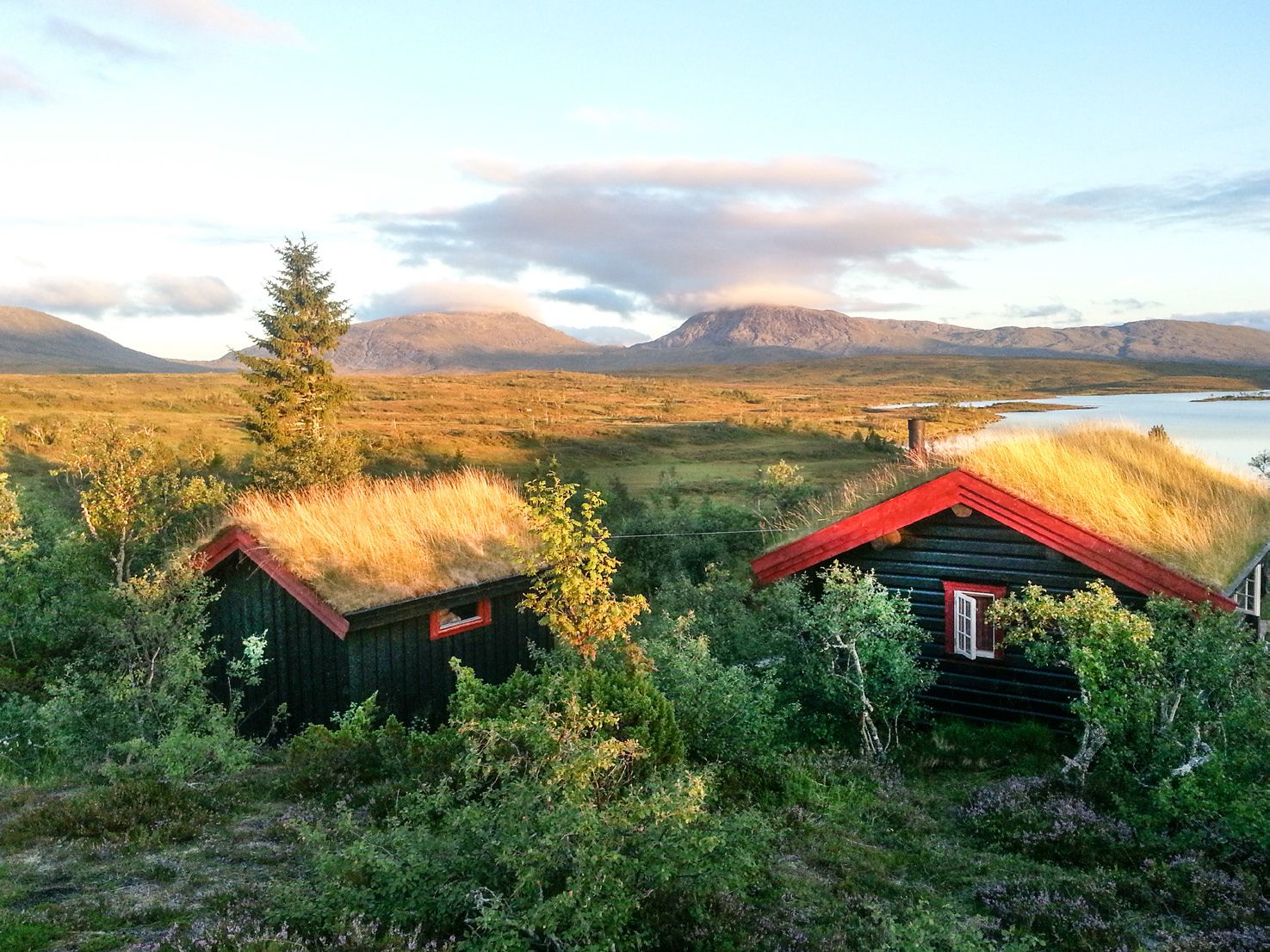 Hytte i Værdalsbruket