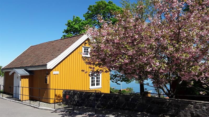 Munchs hus ved et blomstrende tre med utsikt over vannet