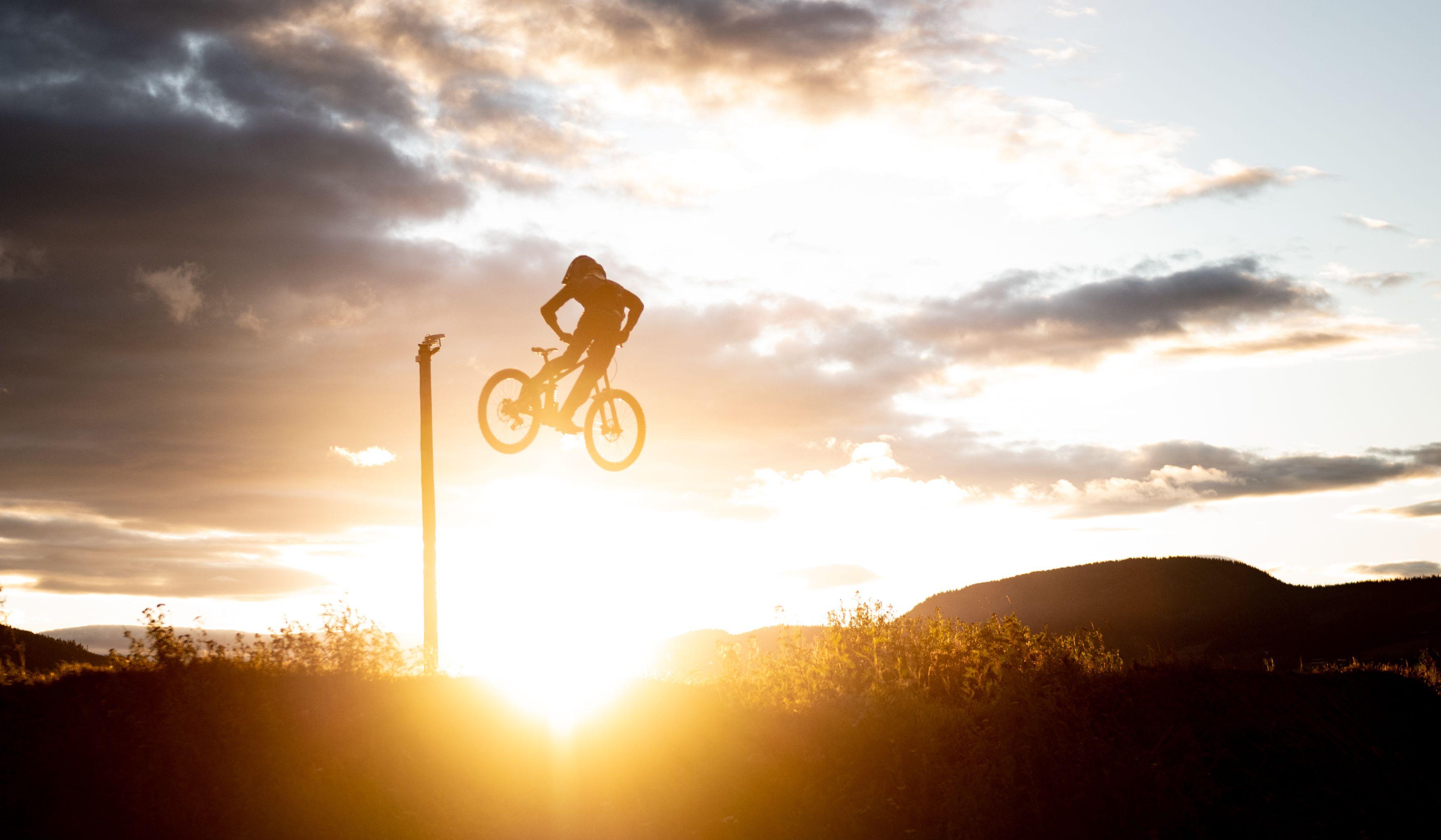 the bird Iver_Gisle Johnsen