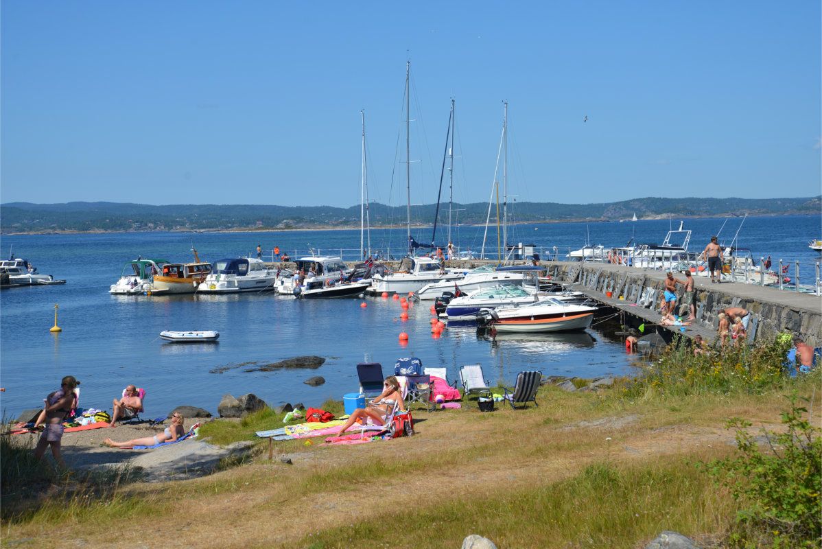 Yrende liv i moloen på Stråholmen