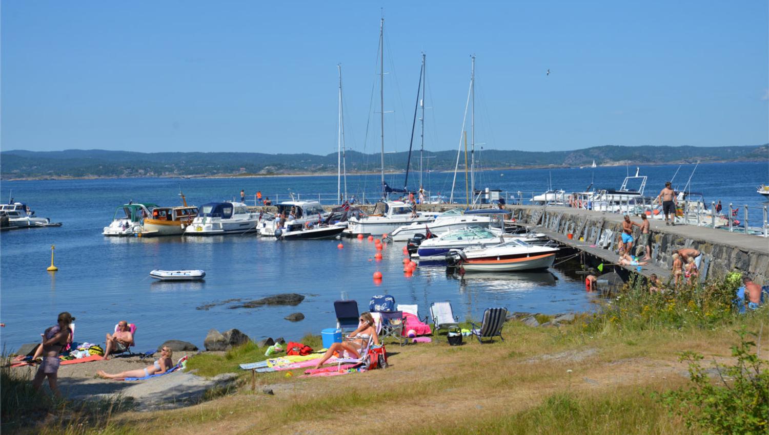 Yrende liv i moloen på Stråholmen