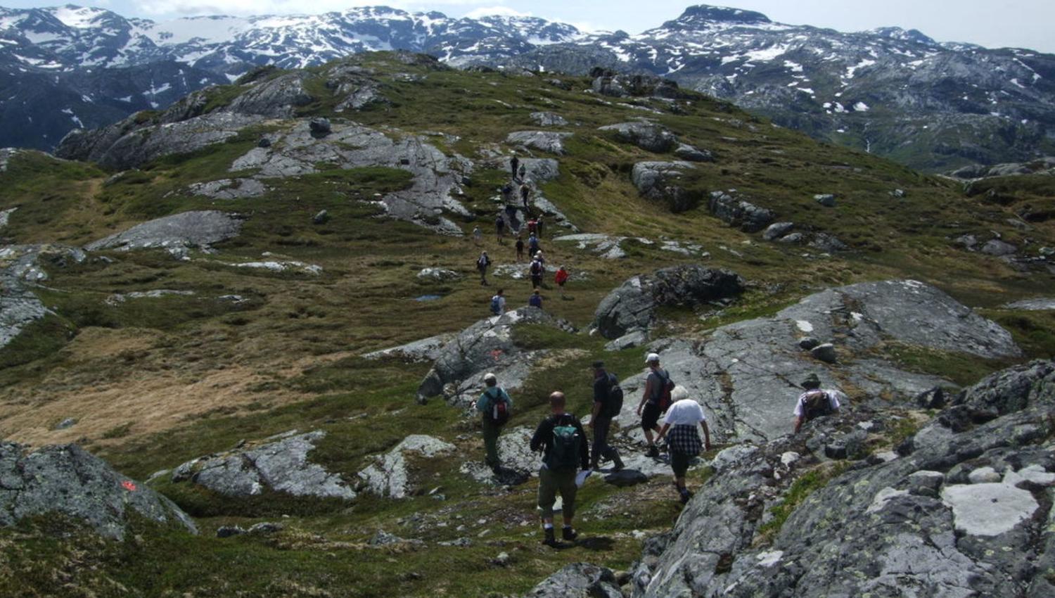 Vatnasete mot Saurdalen, Selsvik