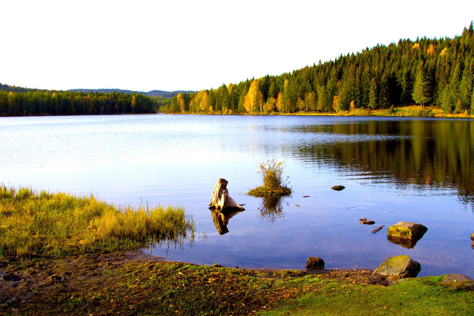innsjø med skog rundt