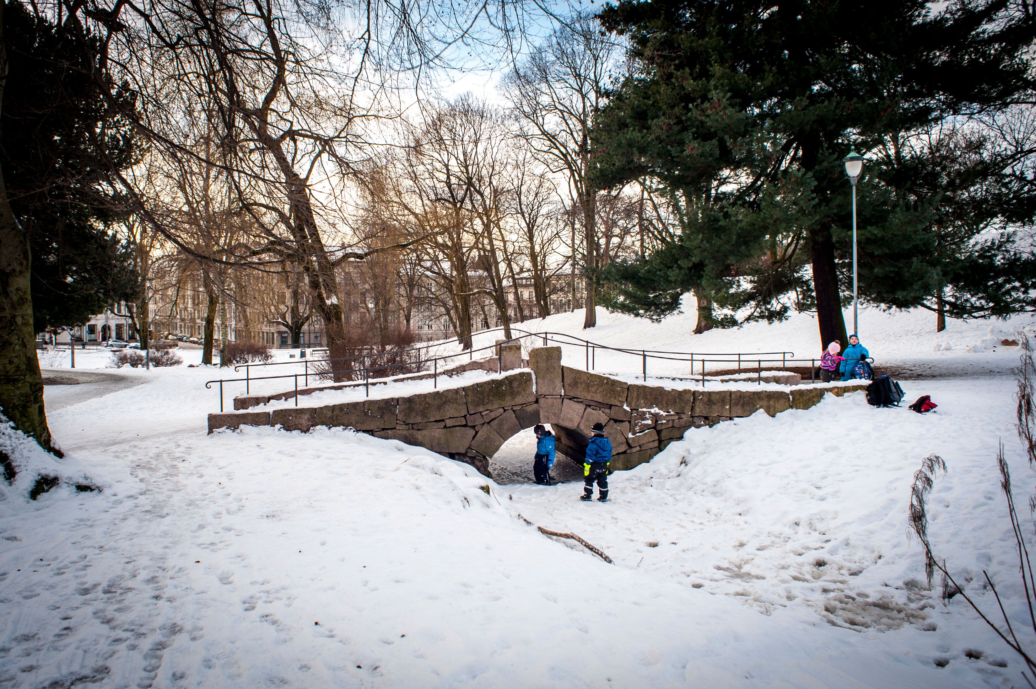barn som leker i parken om vinteren