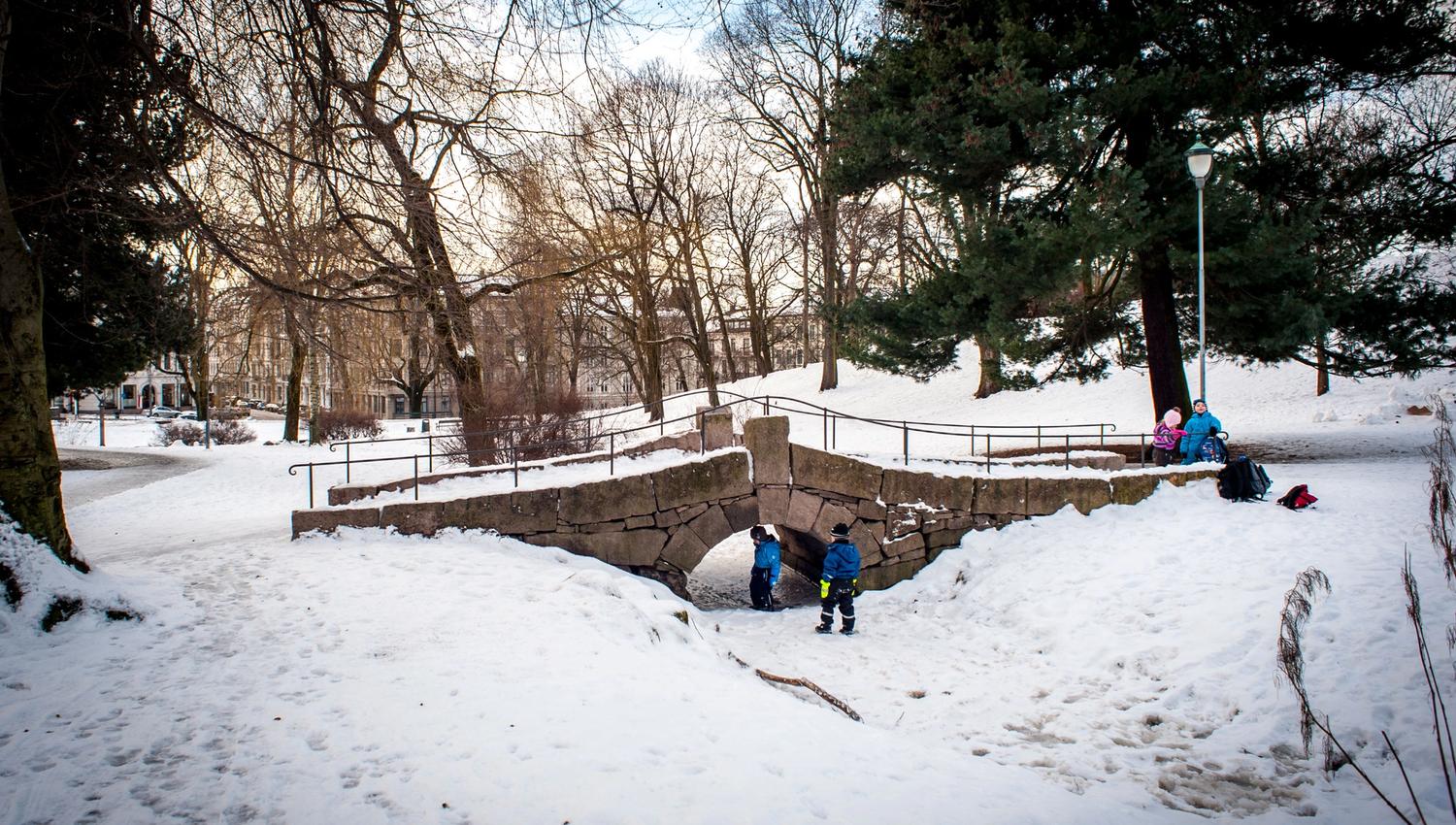 barn som leker i parken om vinteren